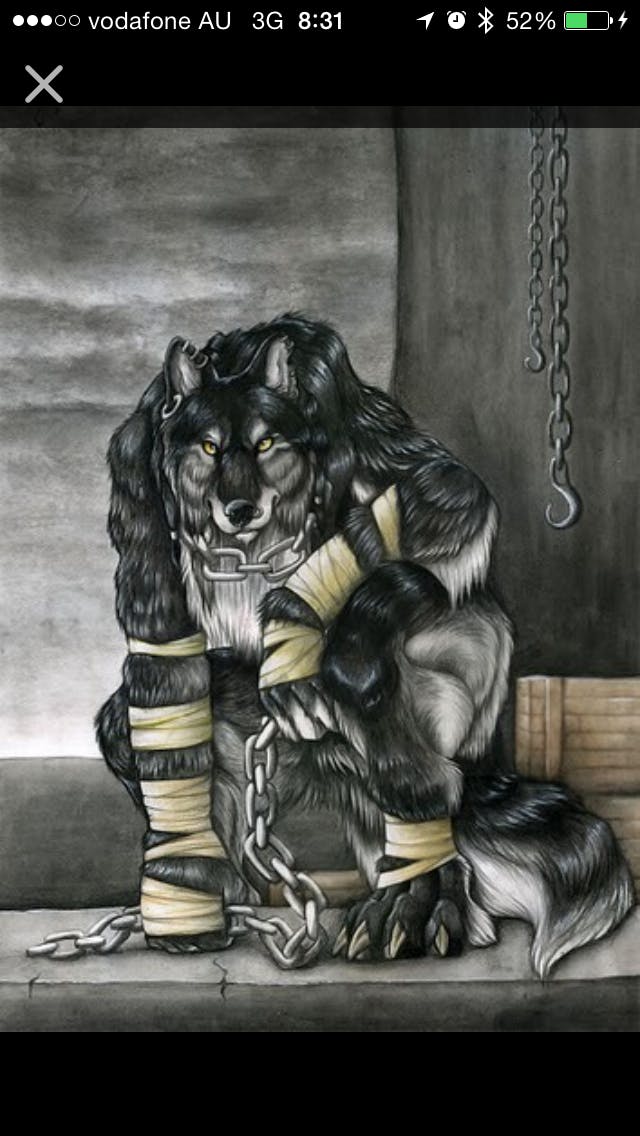 user avatar image for Don Toovey