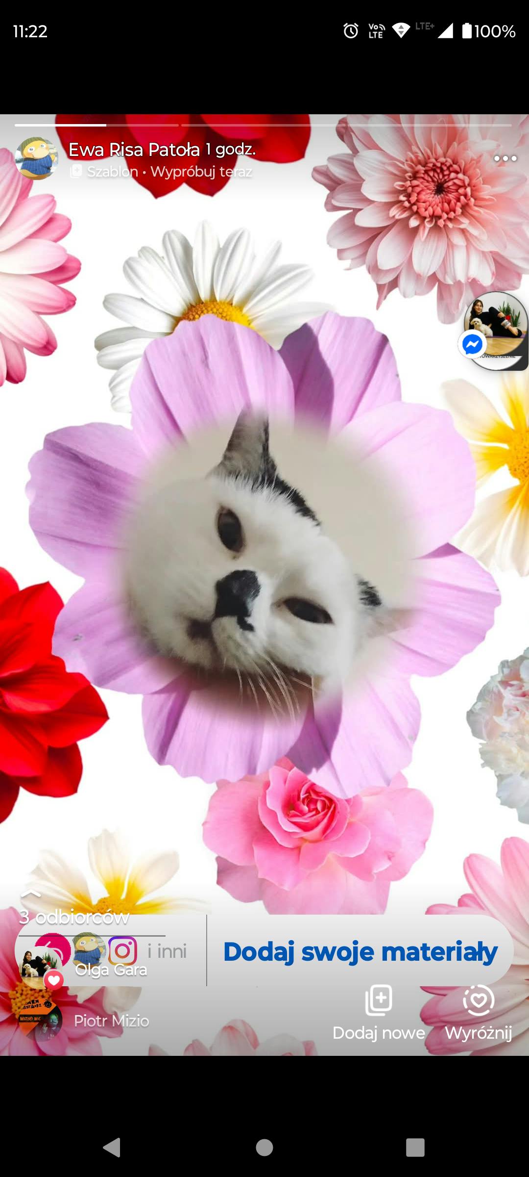 user avatar image for Risachu