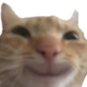 user avatar image for Brian S