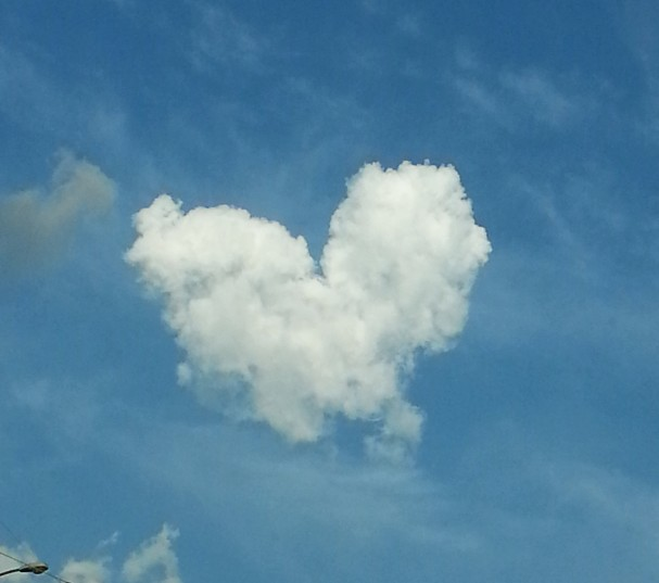 user avatar image for Joy