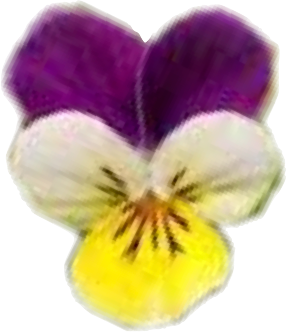 user avatar image for Zaldar