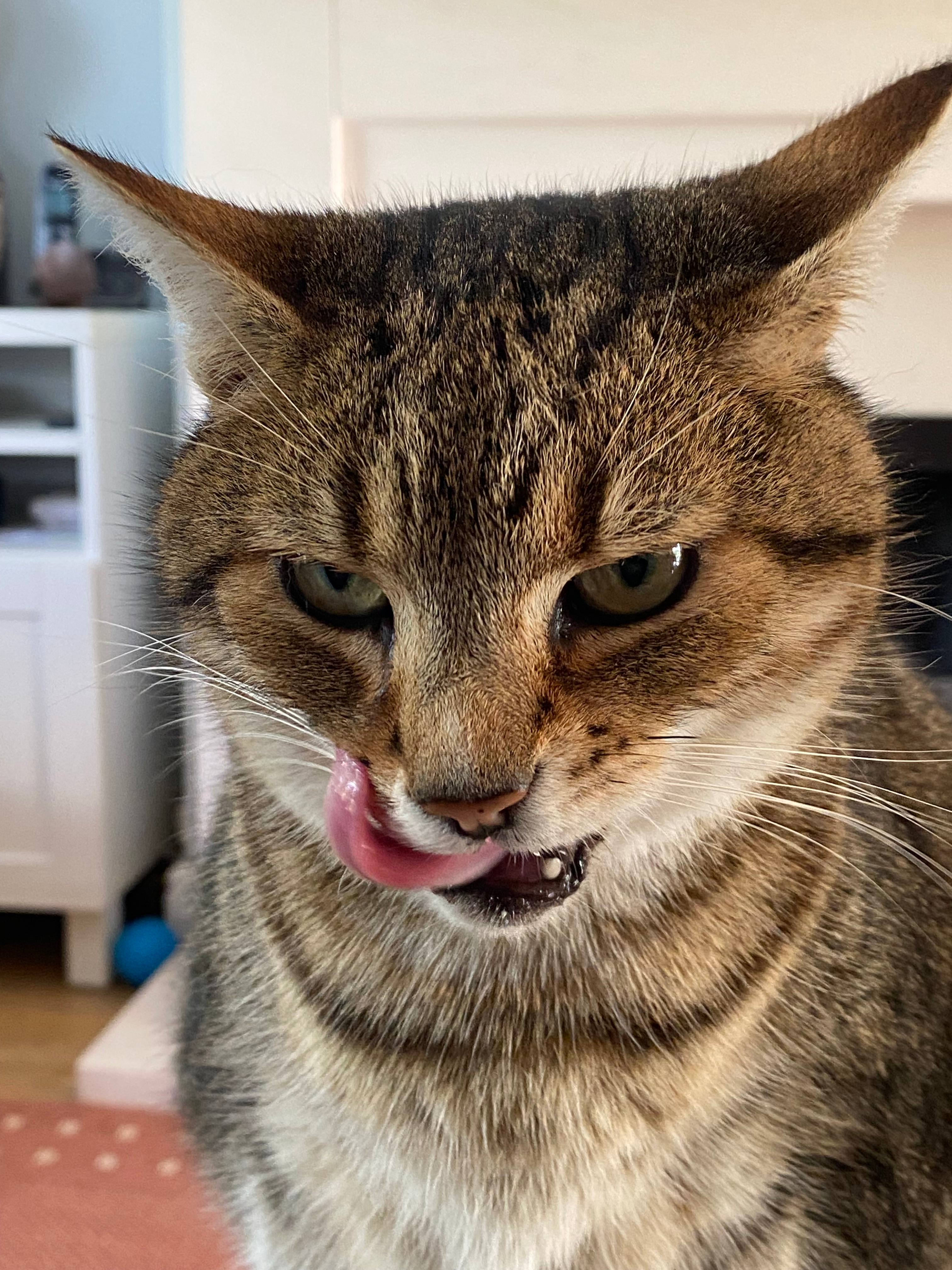 user avatar image for Jonathan Cundall