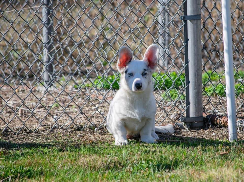 user avatar image for Gin