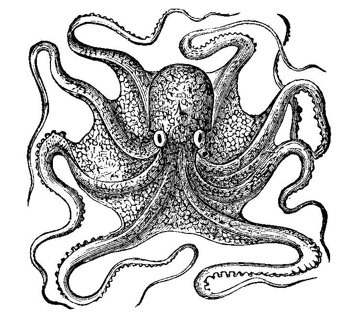 user avatar image for Buzzclaw