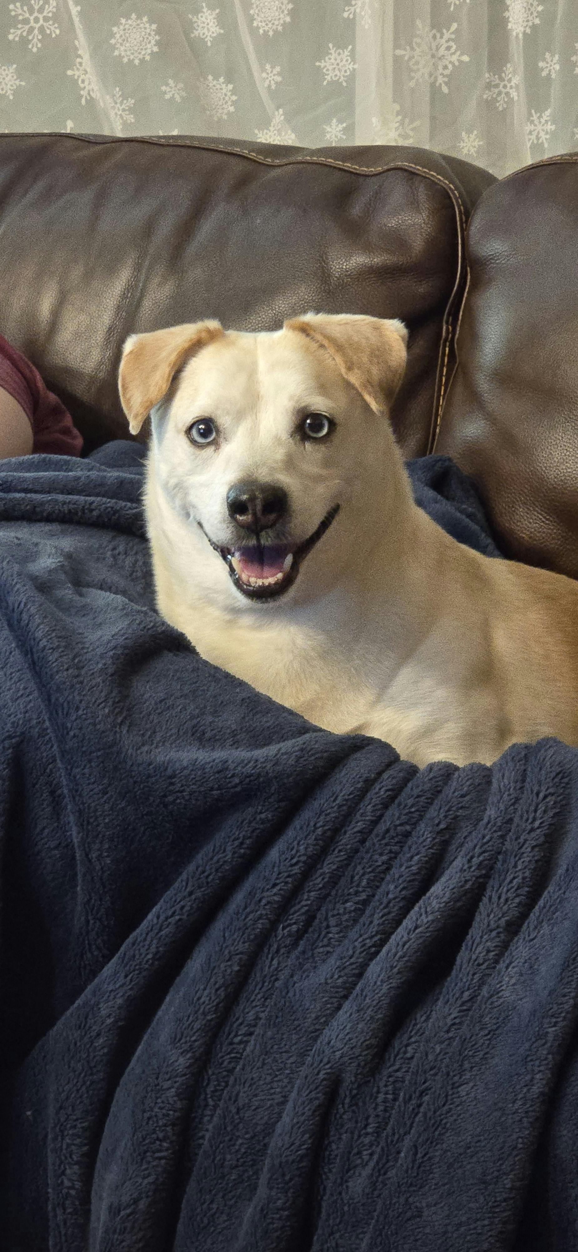 user avatar image for The Fat Thin Mint