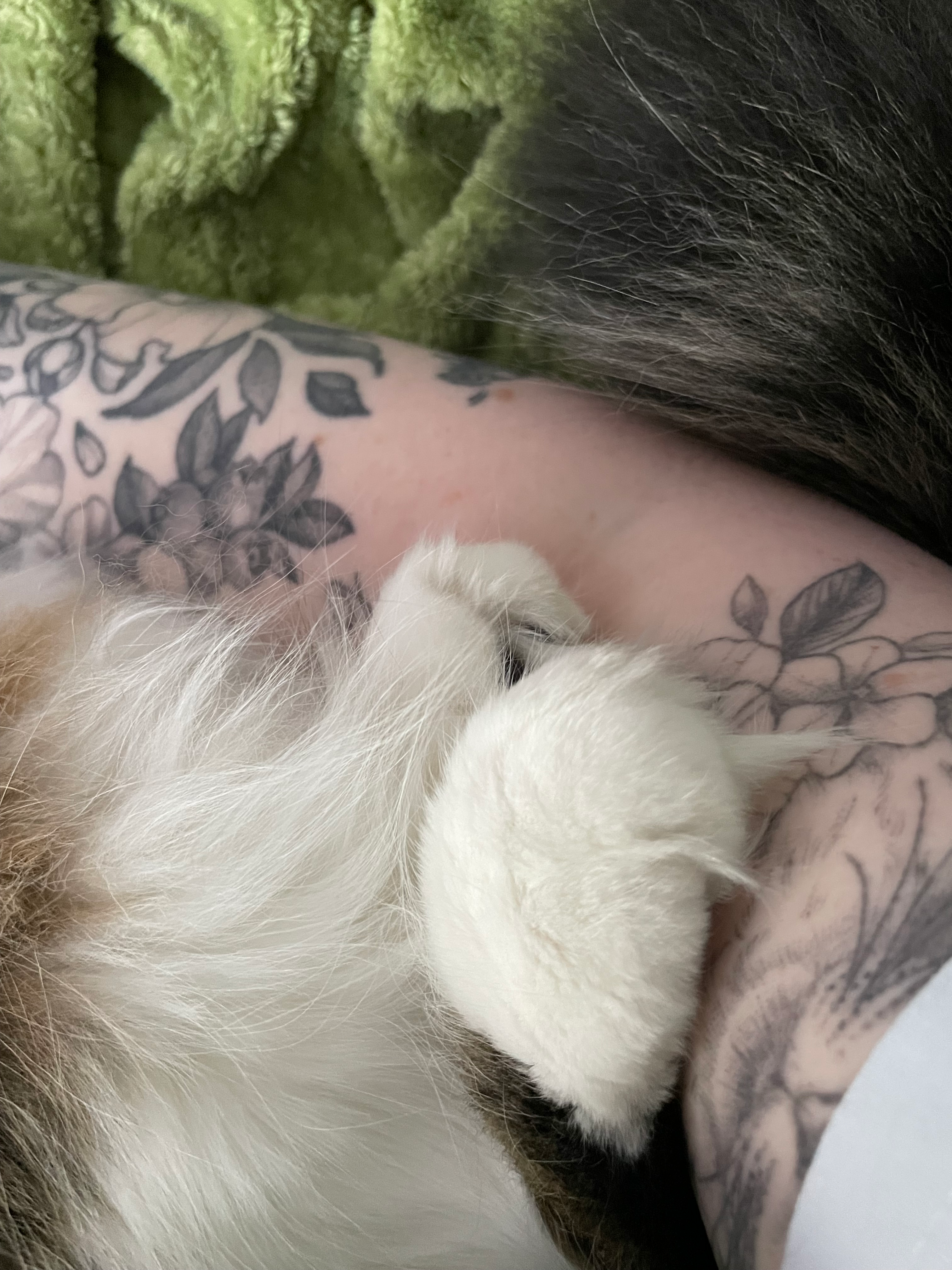 user avatar image for Stephanie