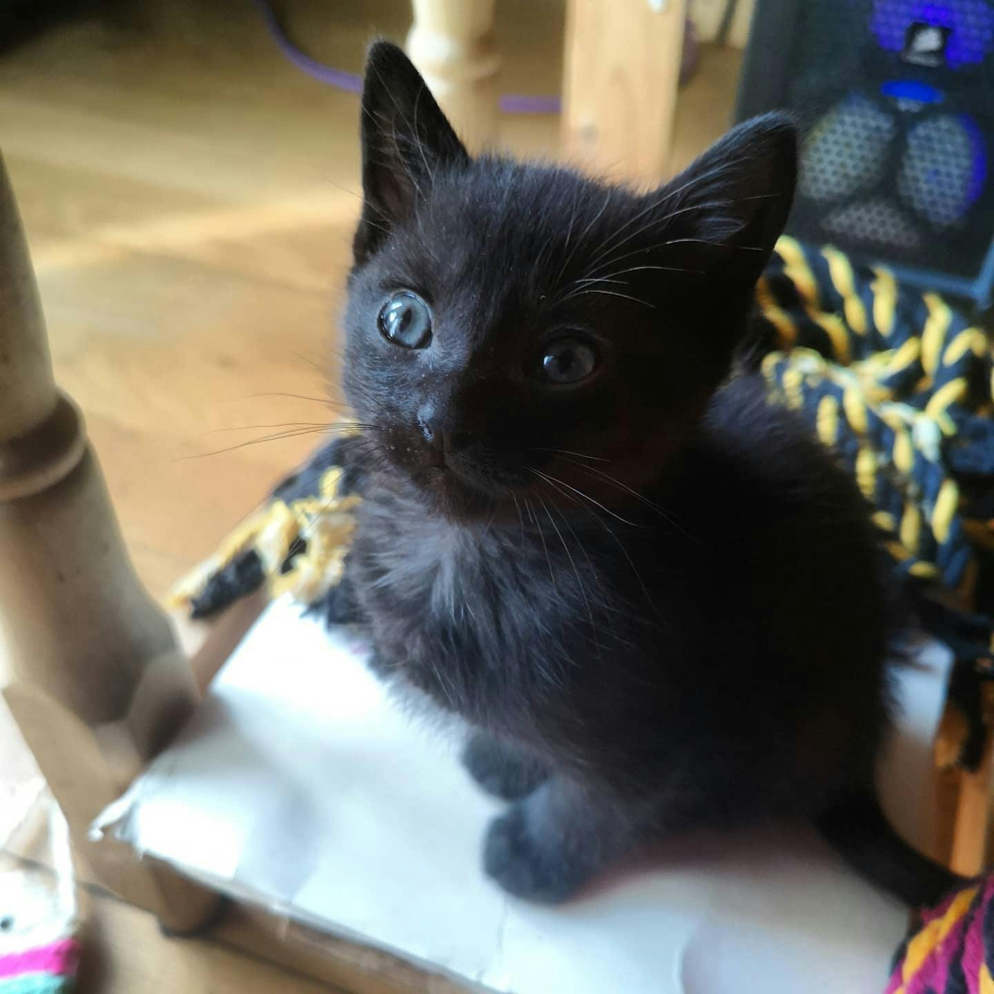 user avatar image for Richysss