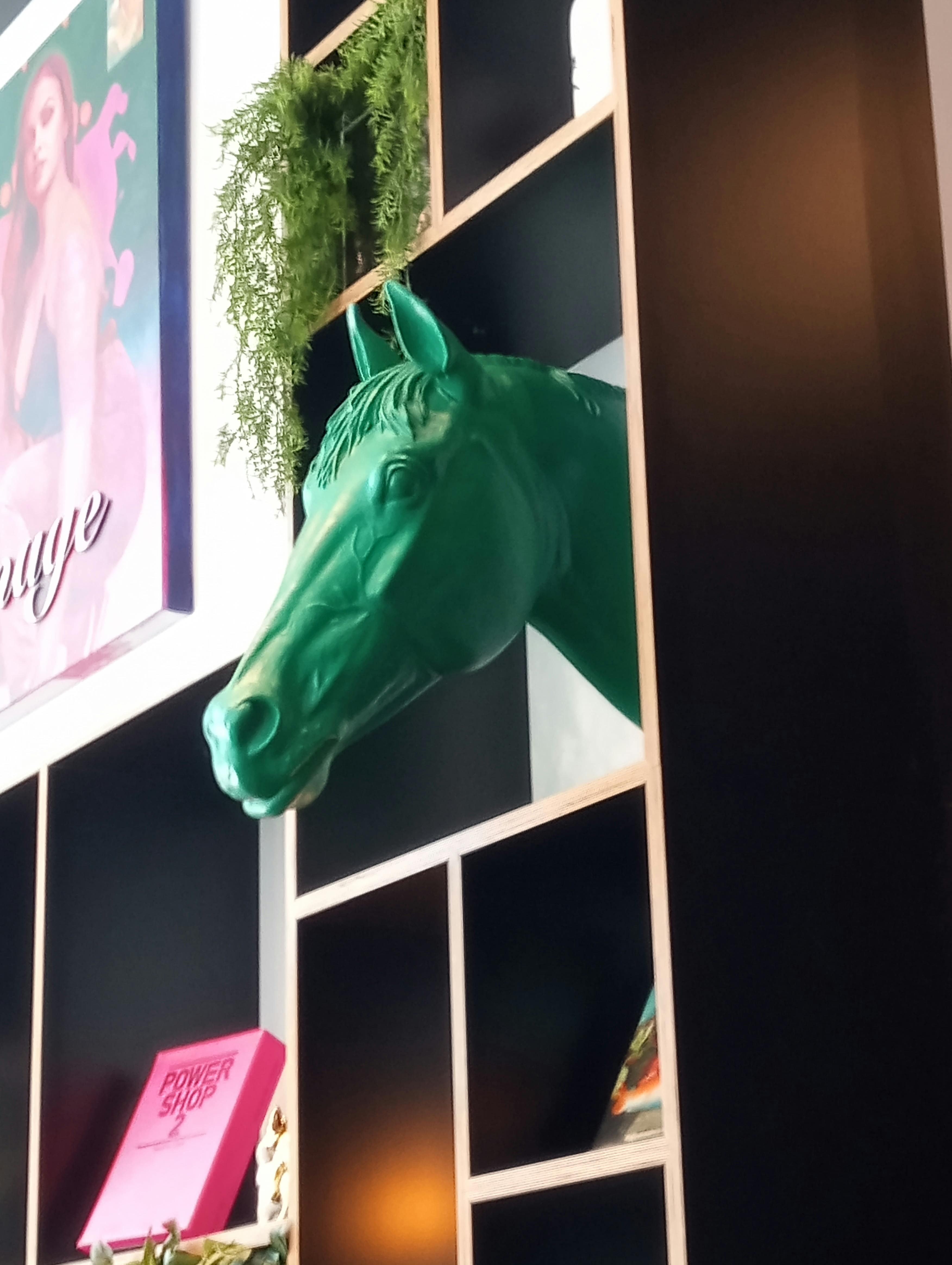 user avatar image for Stephanie Norris