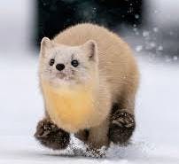 user avatar image for Timothy Hammons 