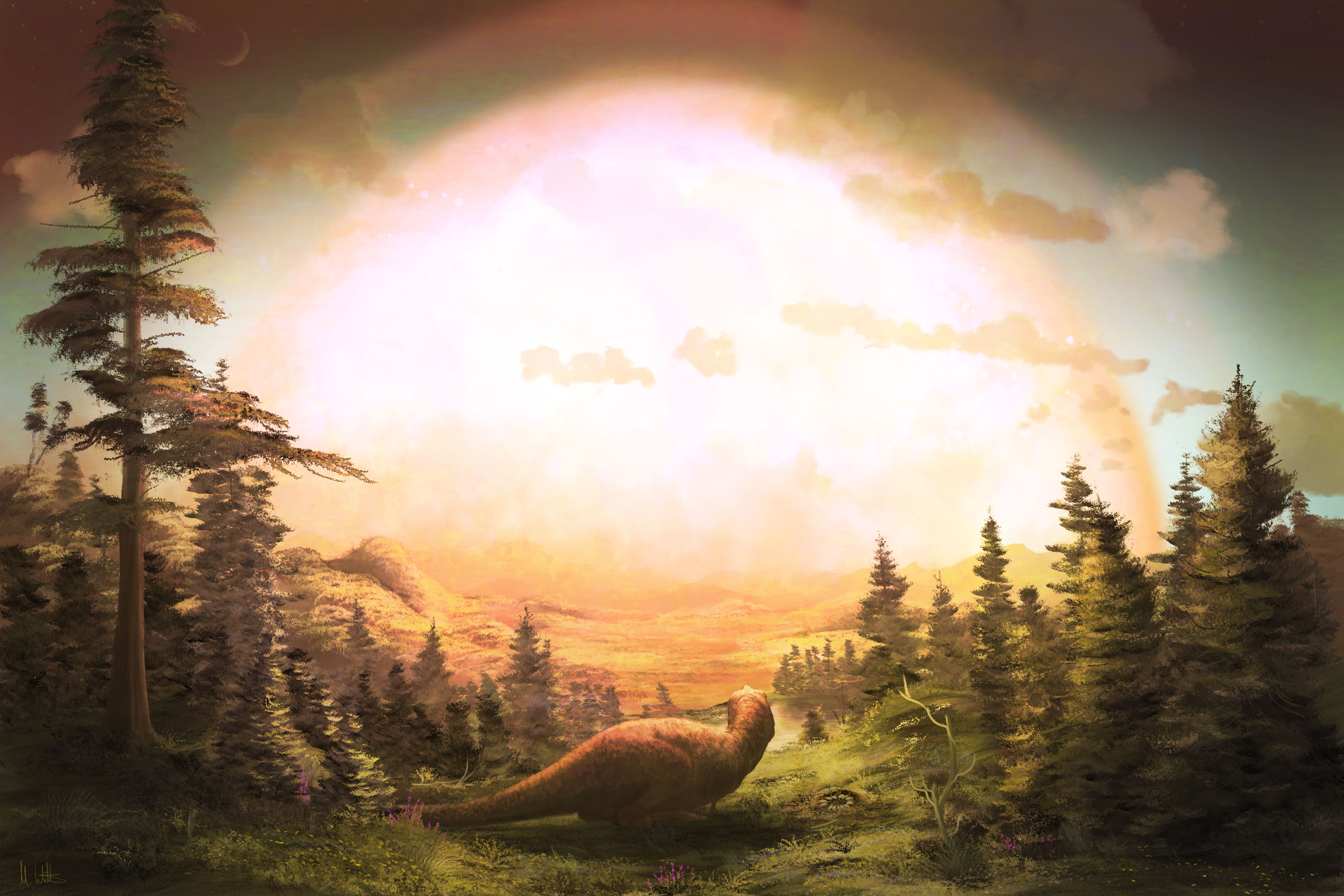 user avatar image for Joeleo