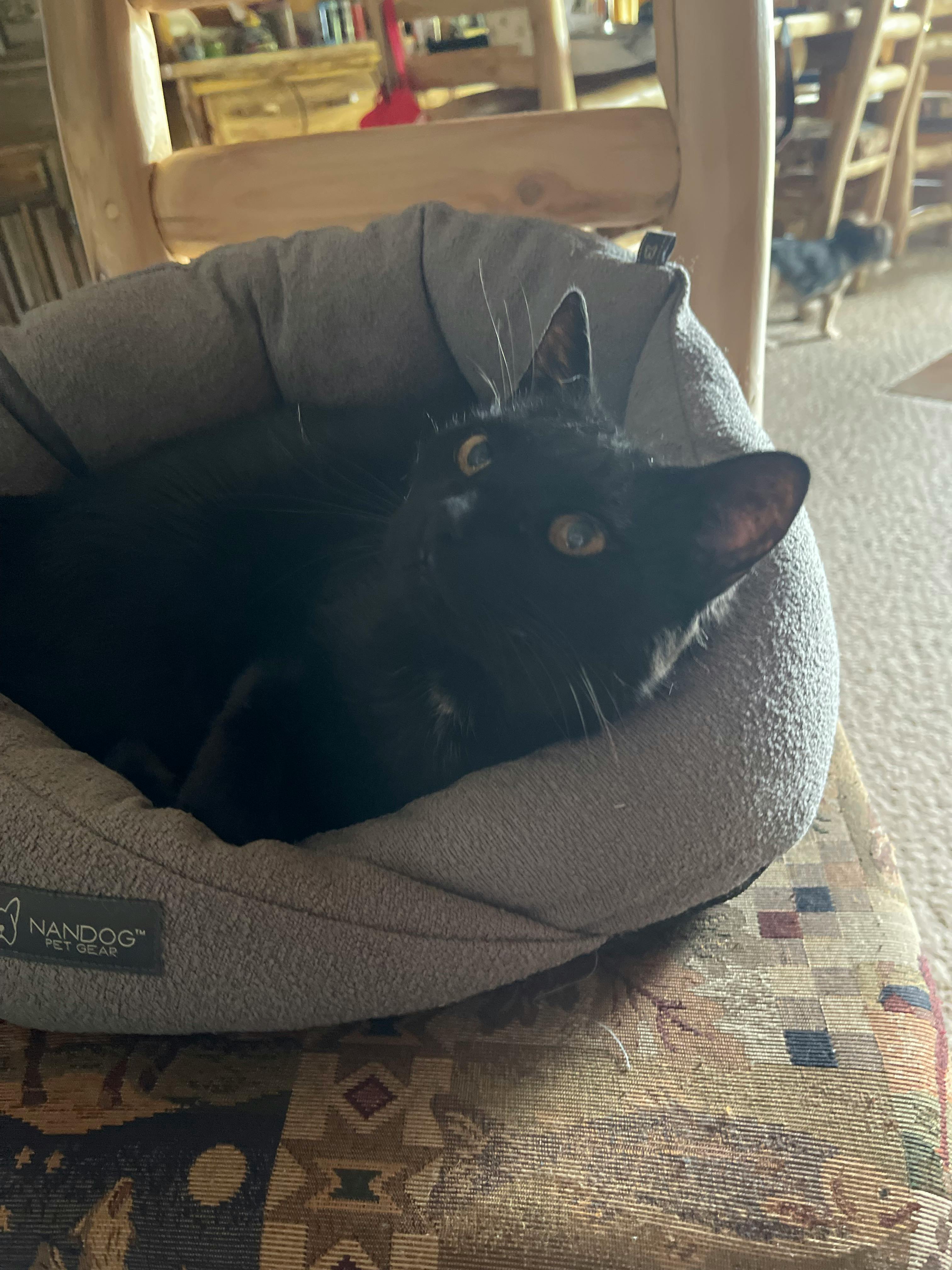 user avatar image for C. Bradley