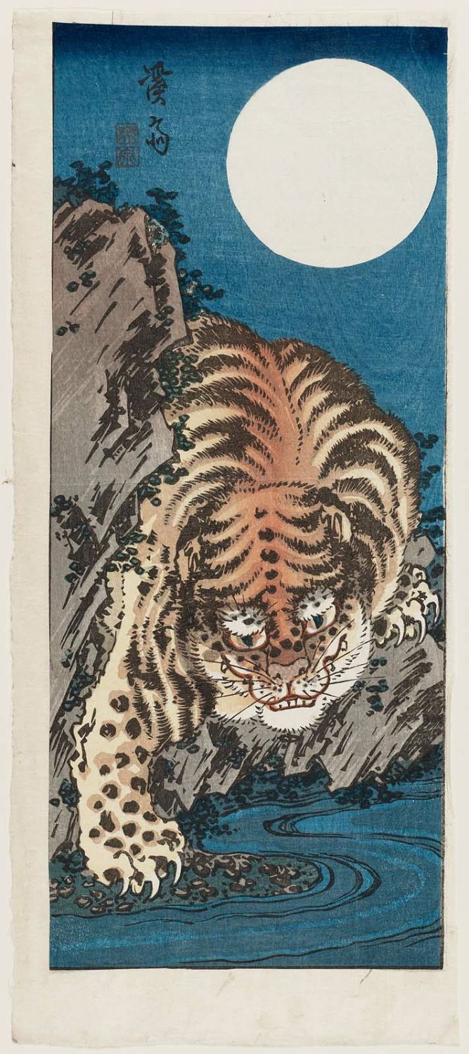 user avatar image for BloodyTiger3