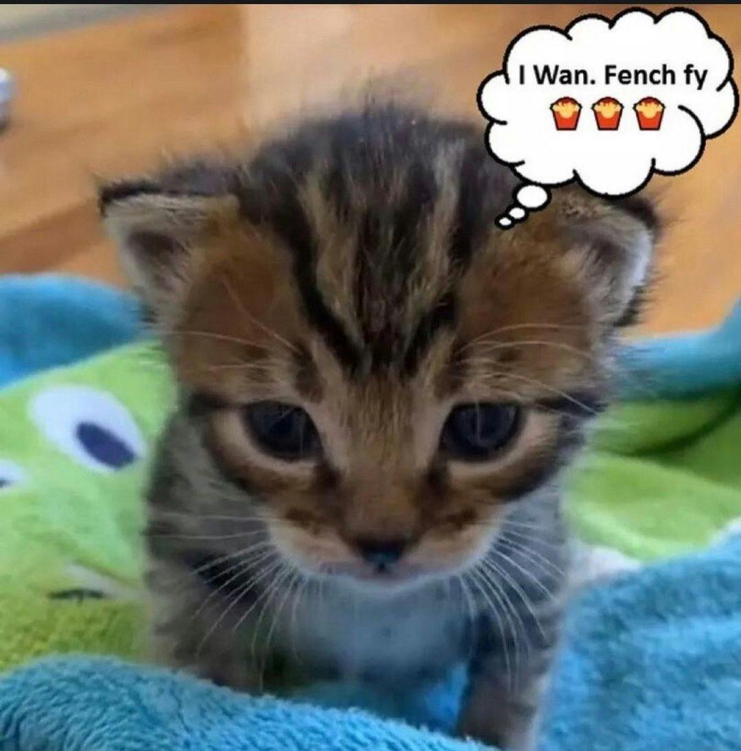 user avatar image for Sara