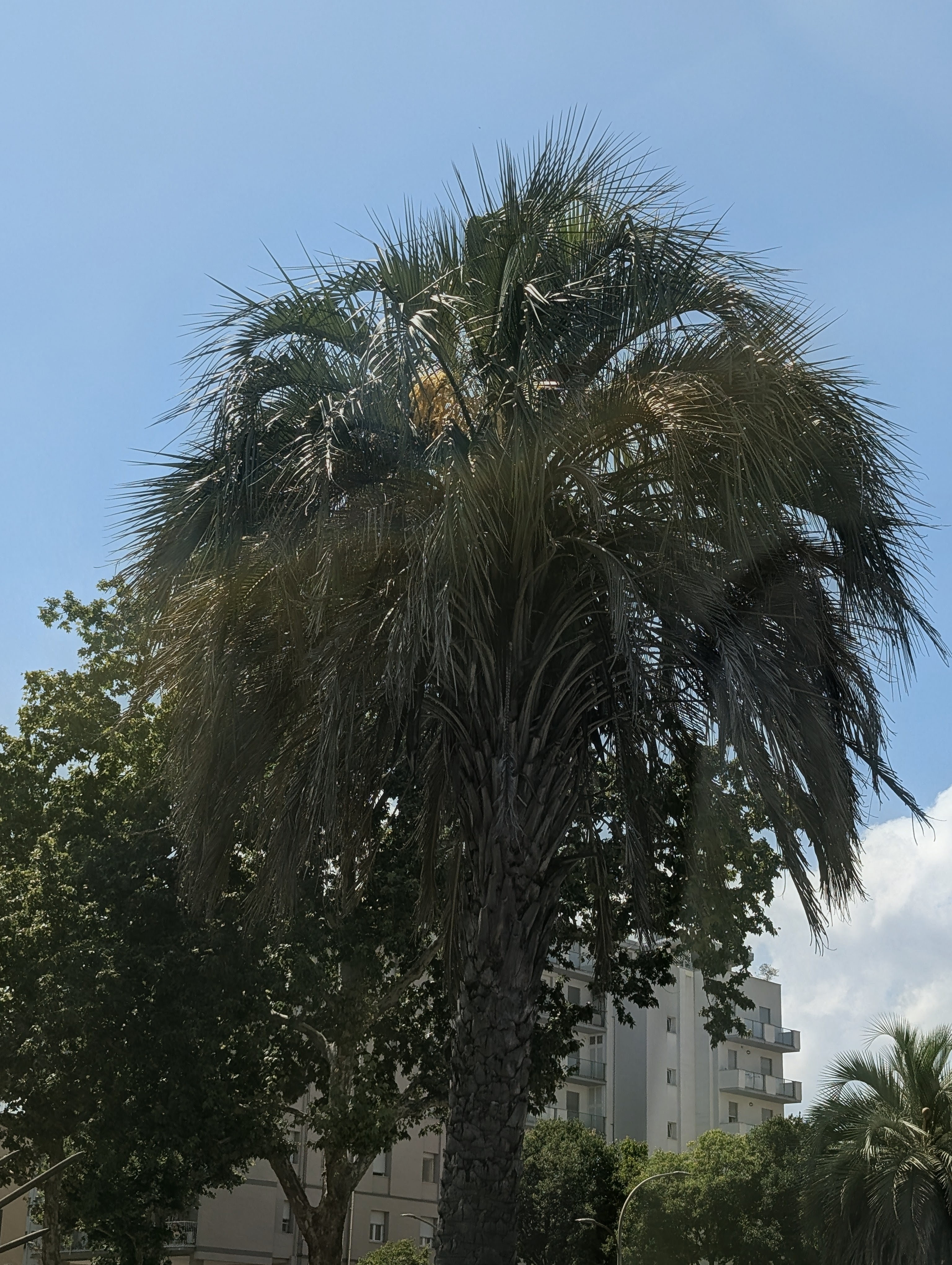 user avatar image for Kessy1808