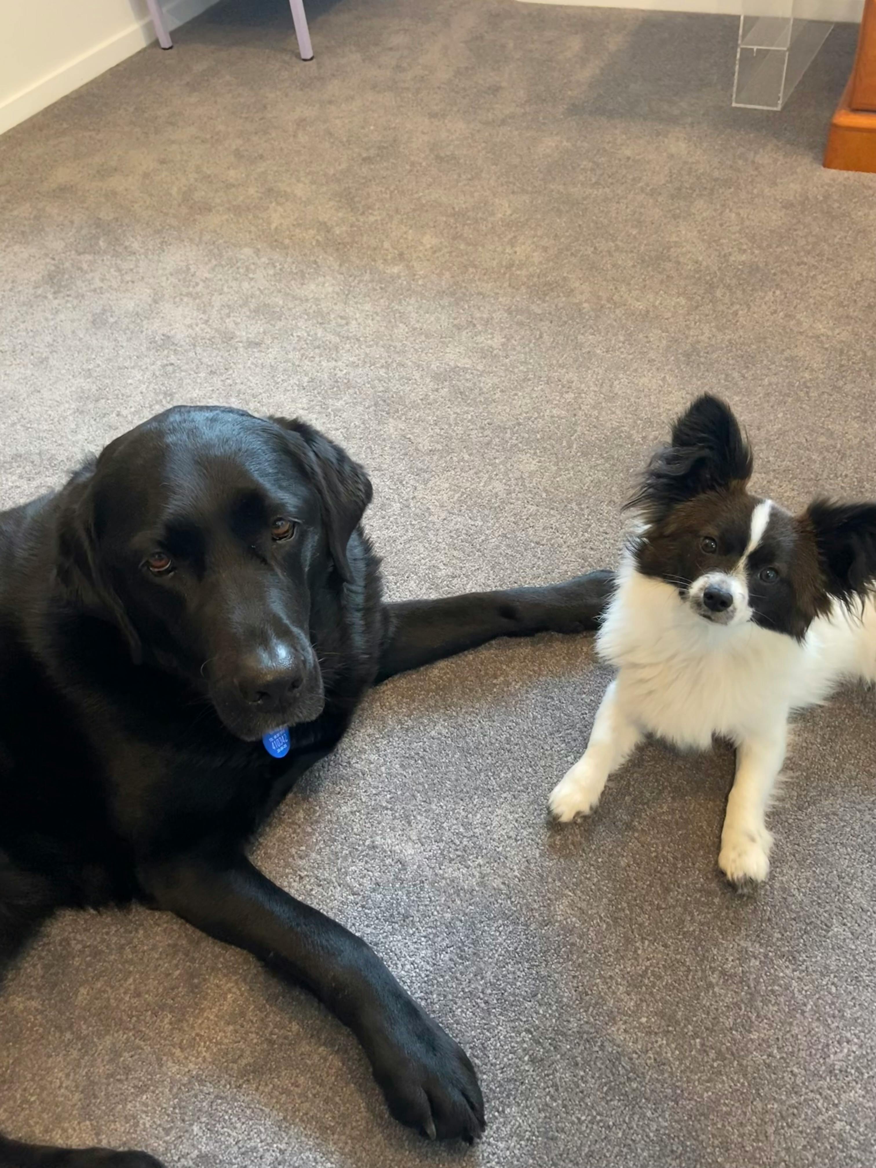 user avatar image for Ed Hughes