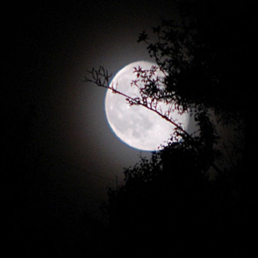 user avatar image for Kamash