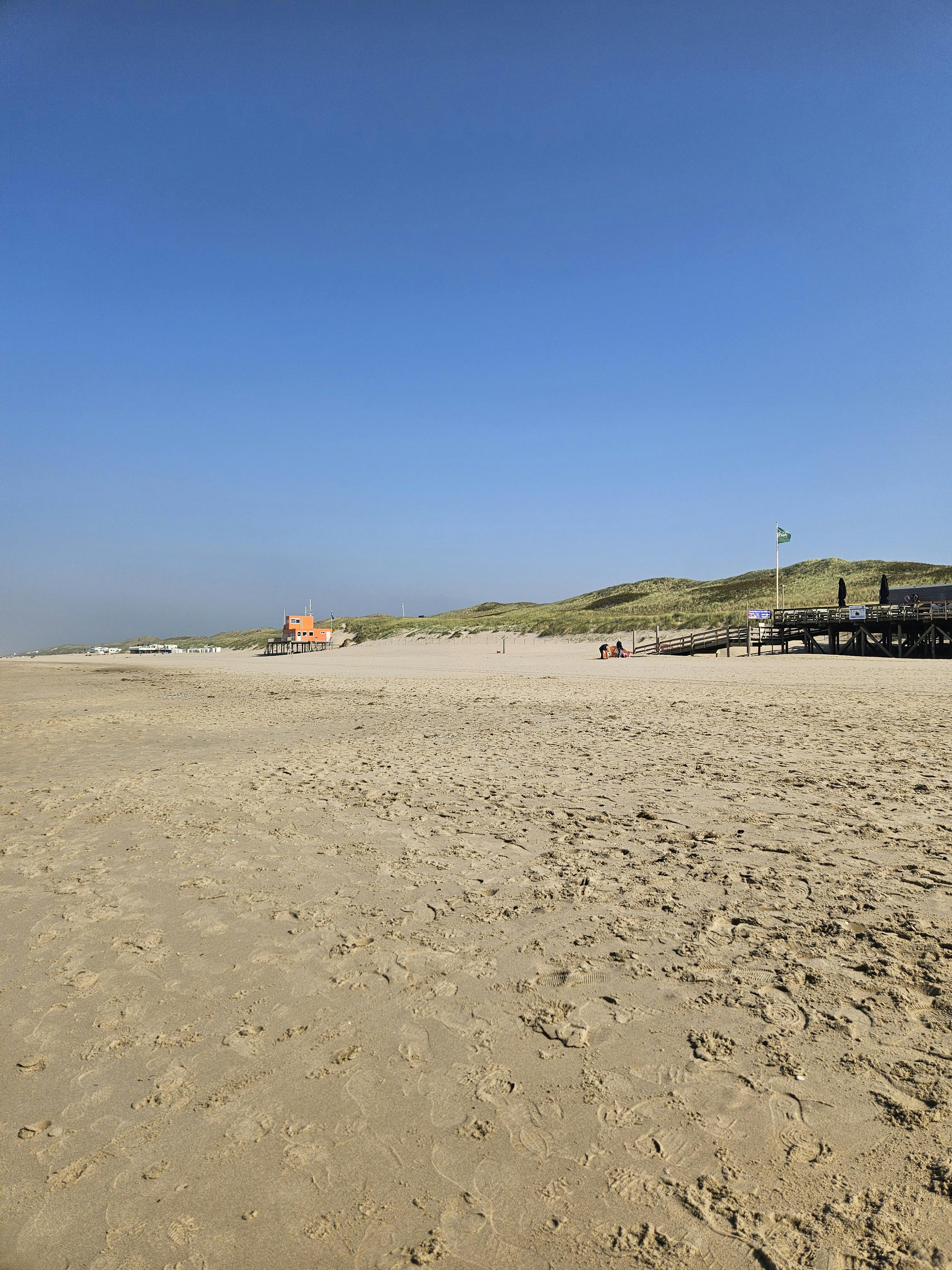 user avatar image for Erania