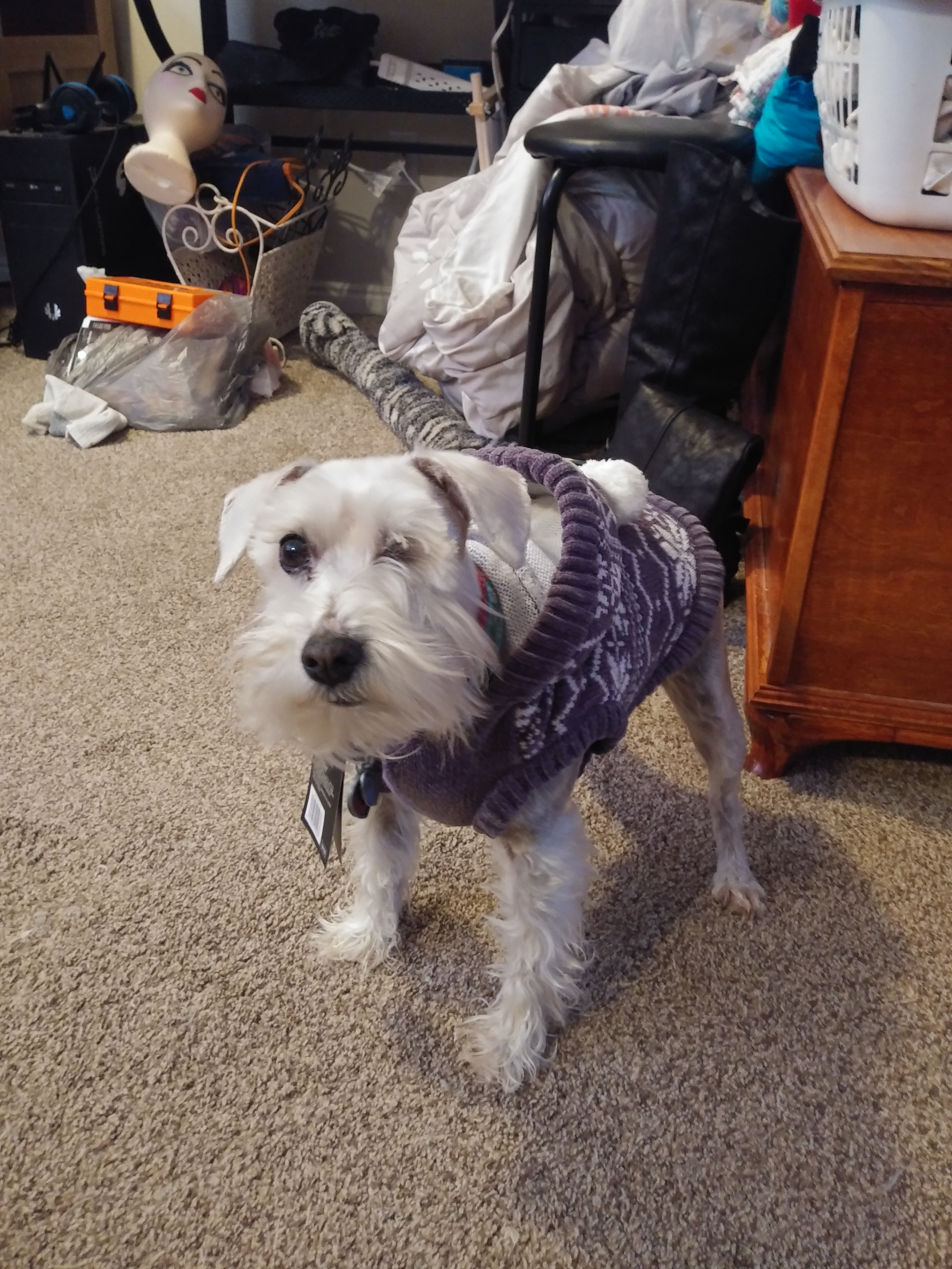 user avatar image for Cloud94me