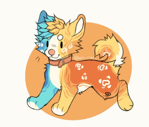 user avatar image for Sam