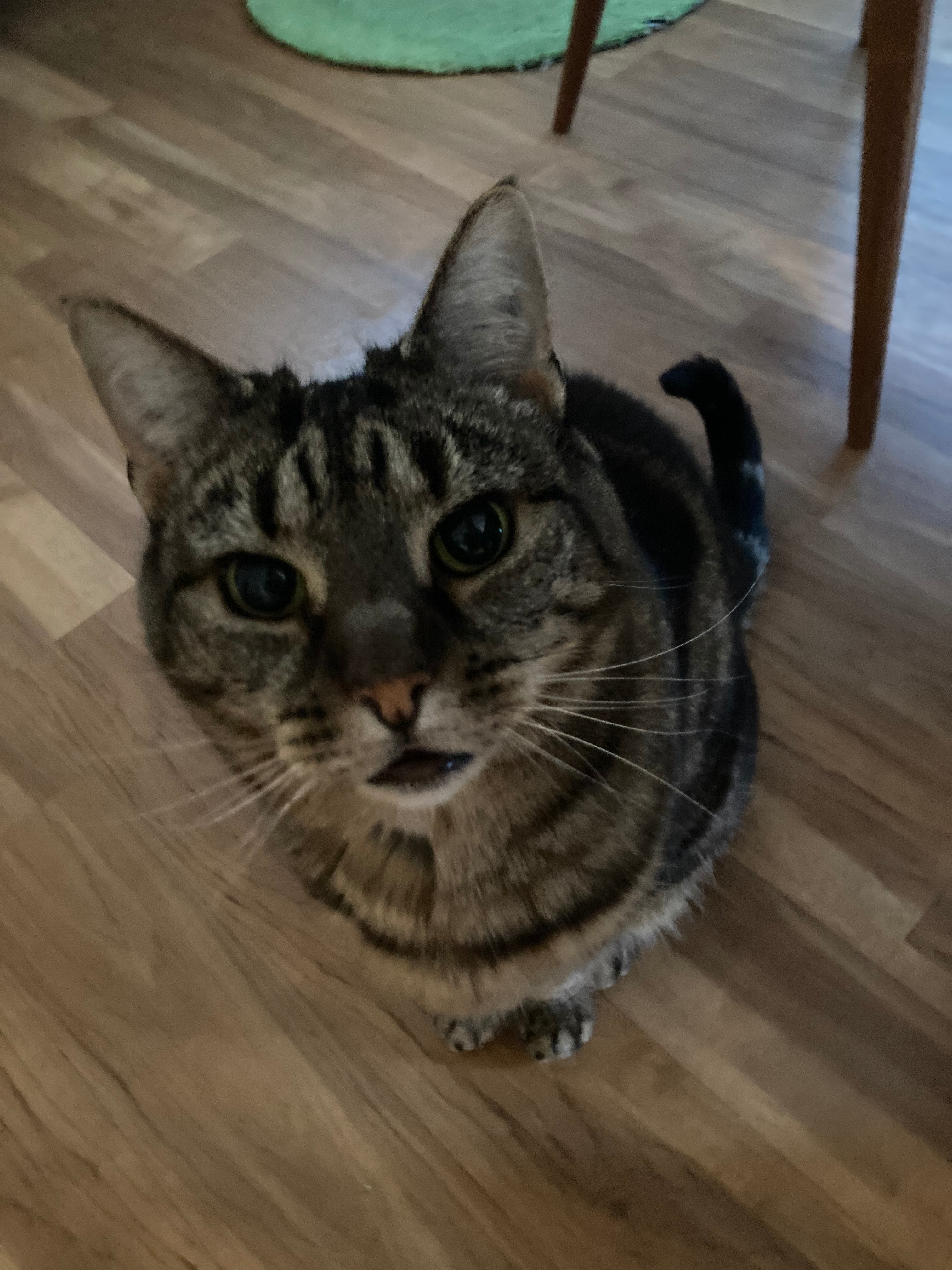 user avatar image for Ottgeon