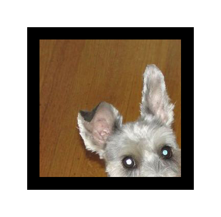 user avatar image for Carl314