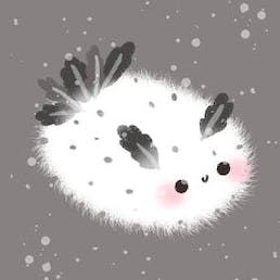 user avatar image for Jennifer