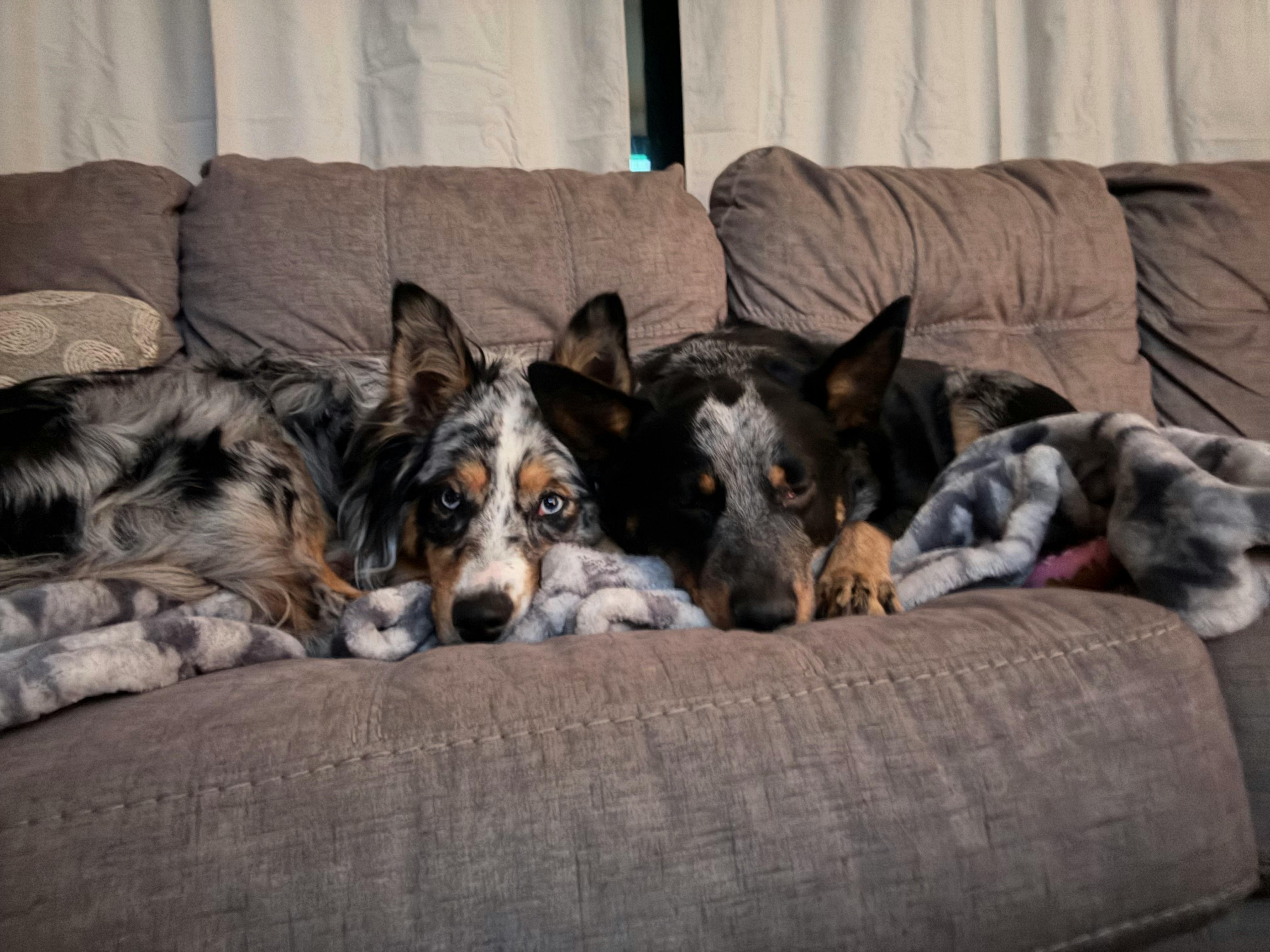 user avatar image for Samantha Kennedy