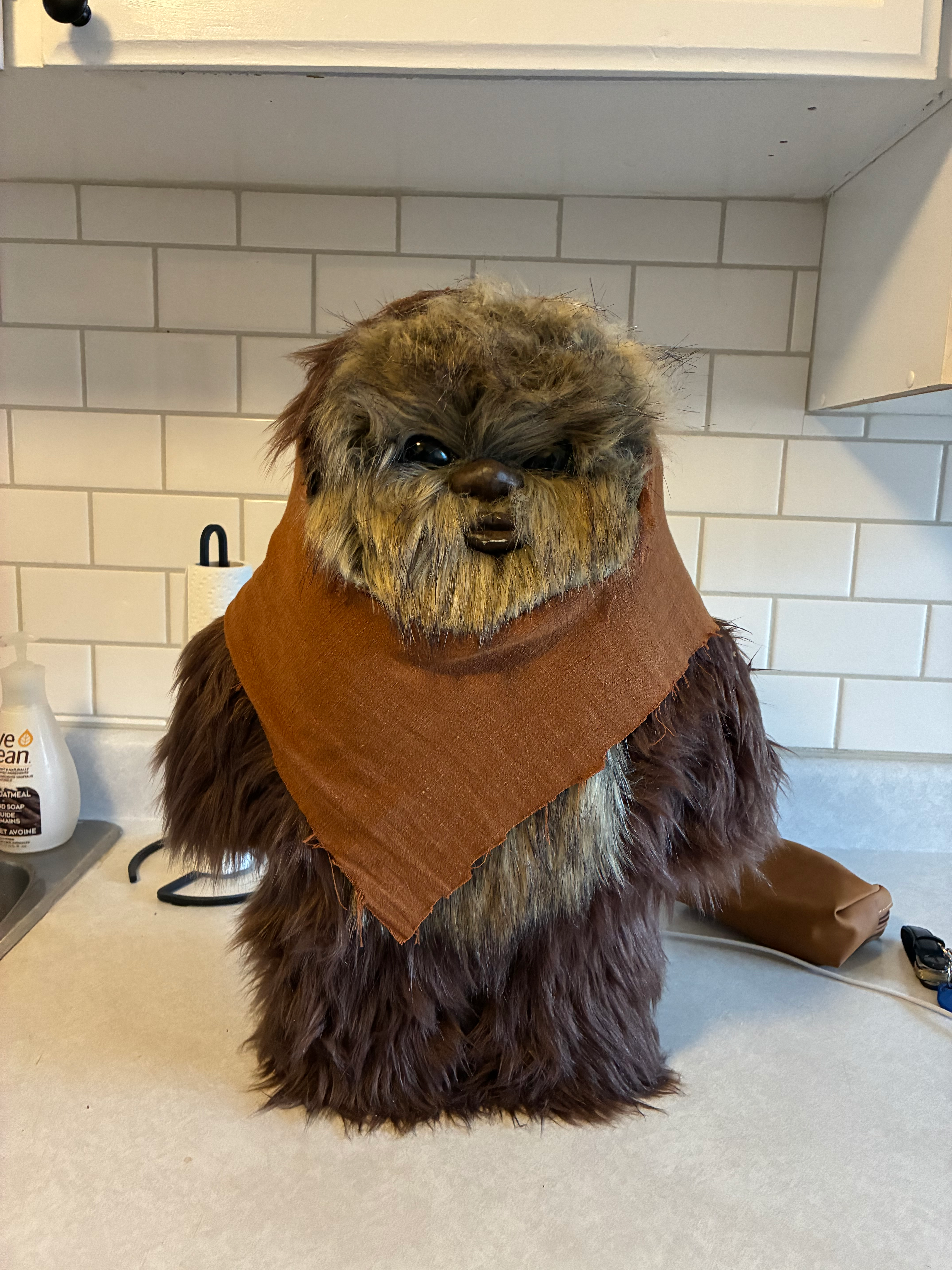 user avatar image for Josh