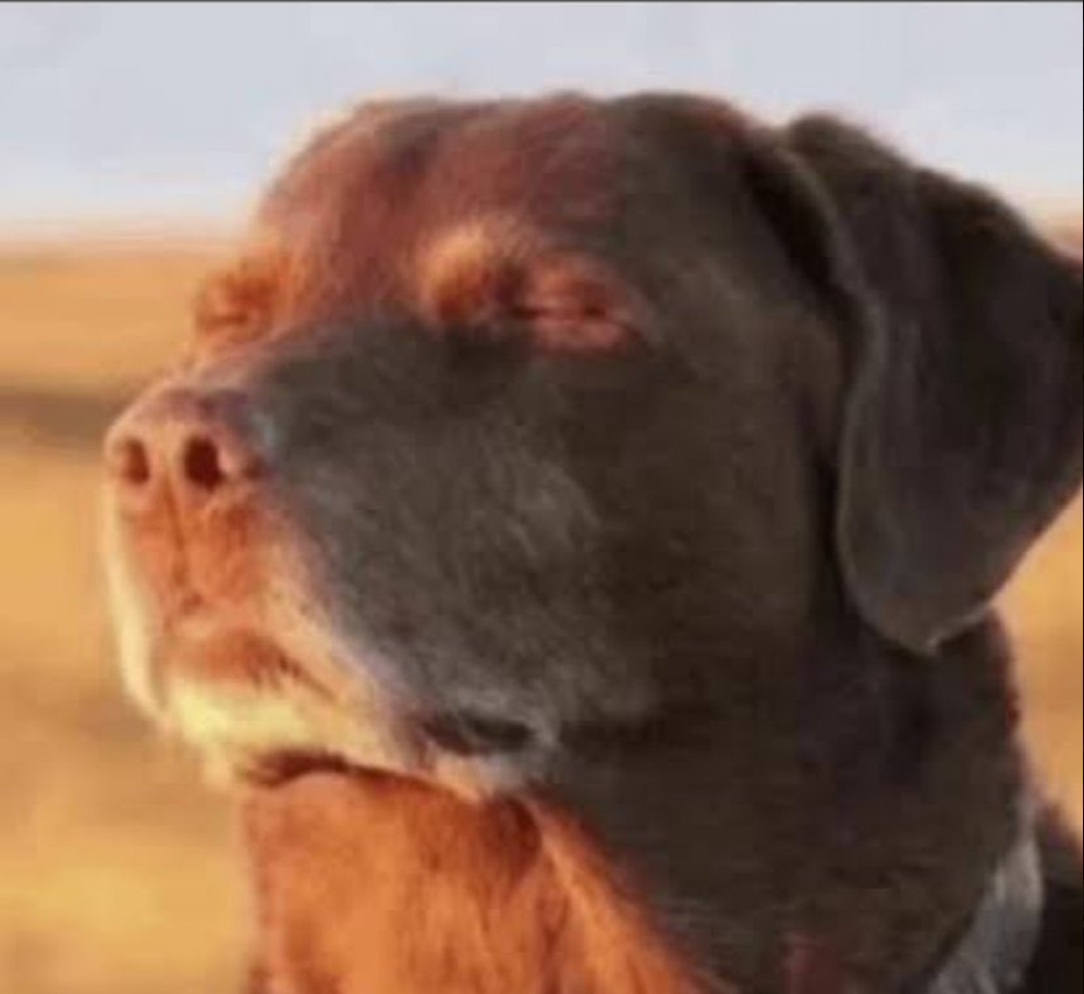 user avatar image for A Regular Gamer