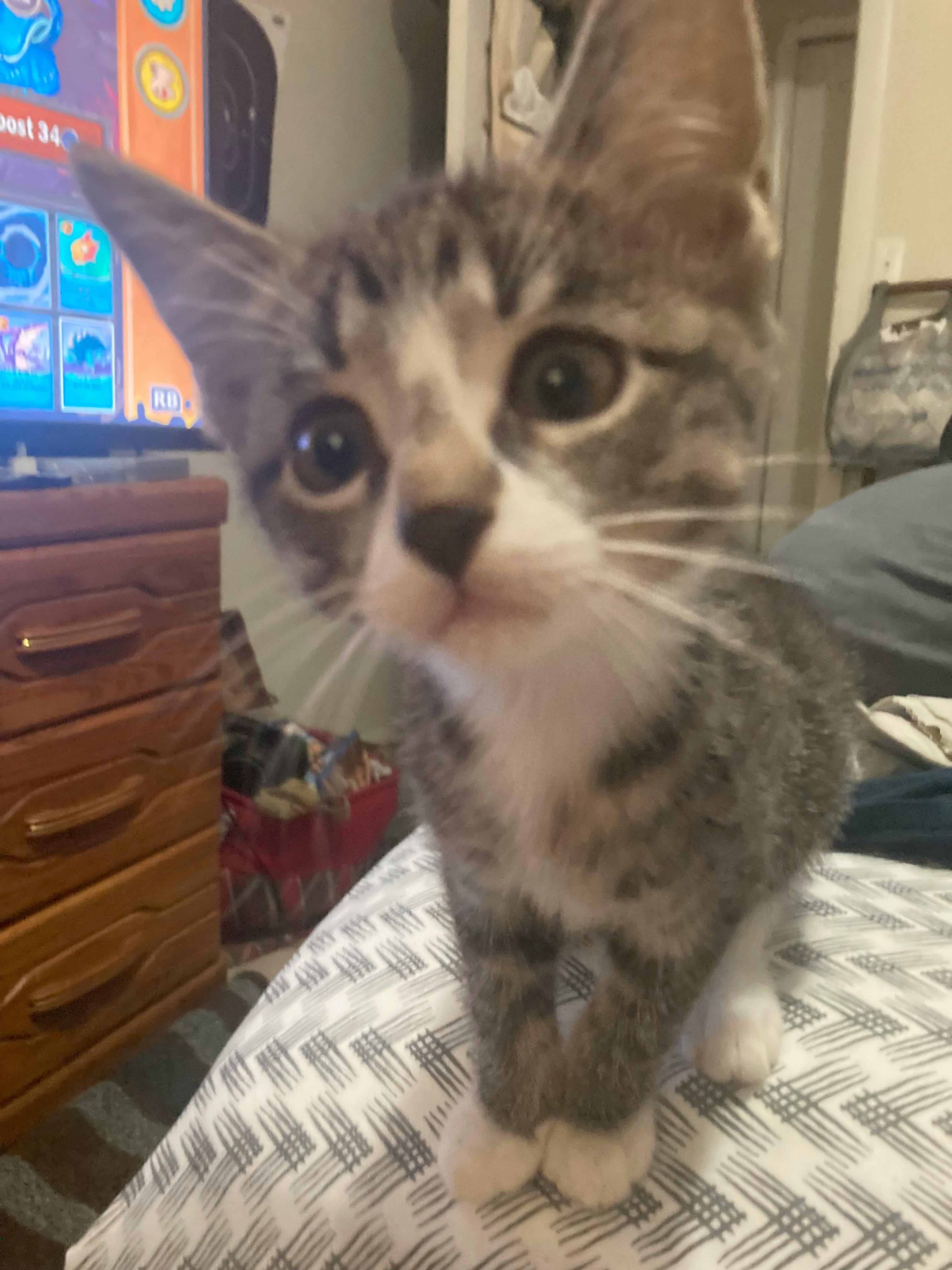 user avatar image for Byron McCullough