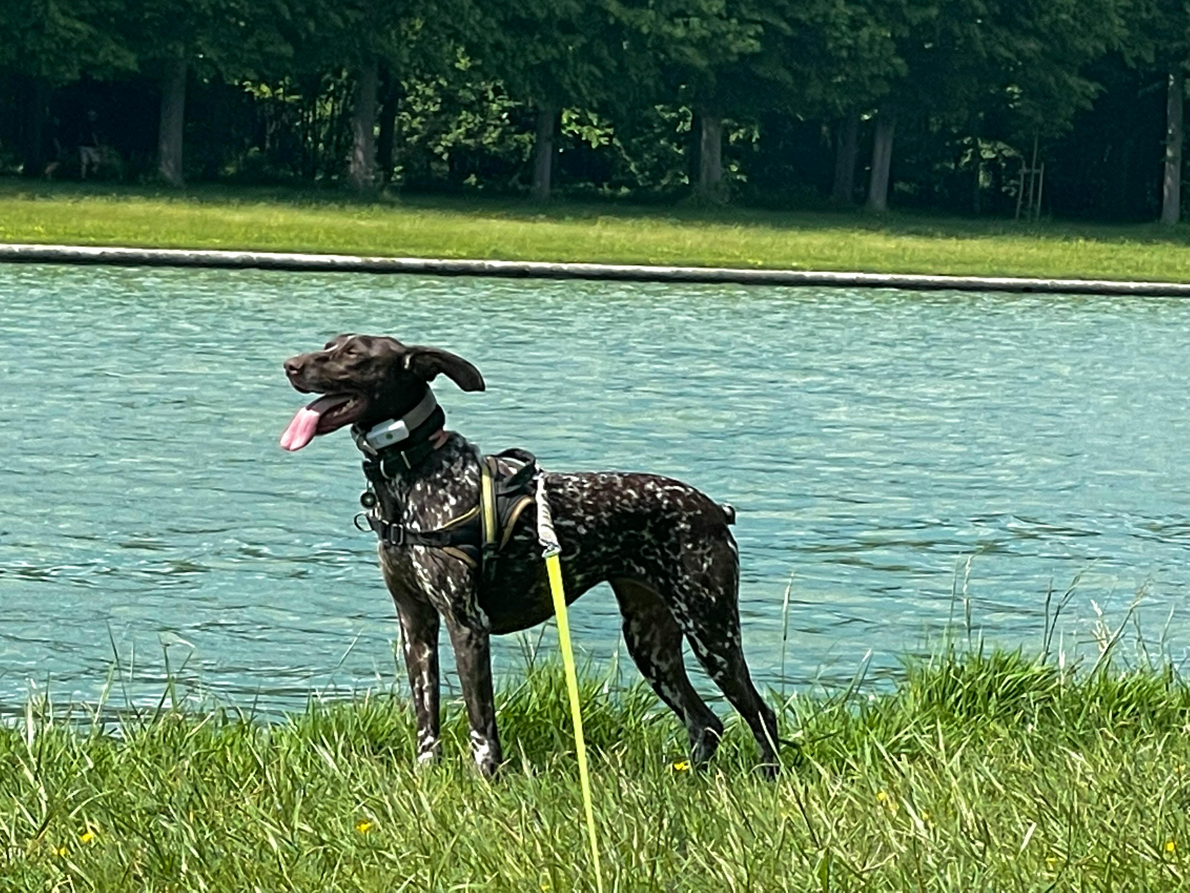 user avatar image for Relonnor