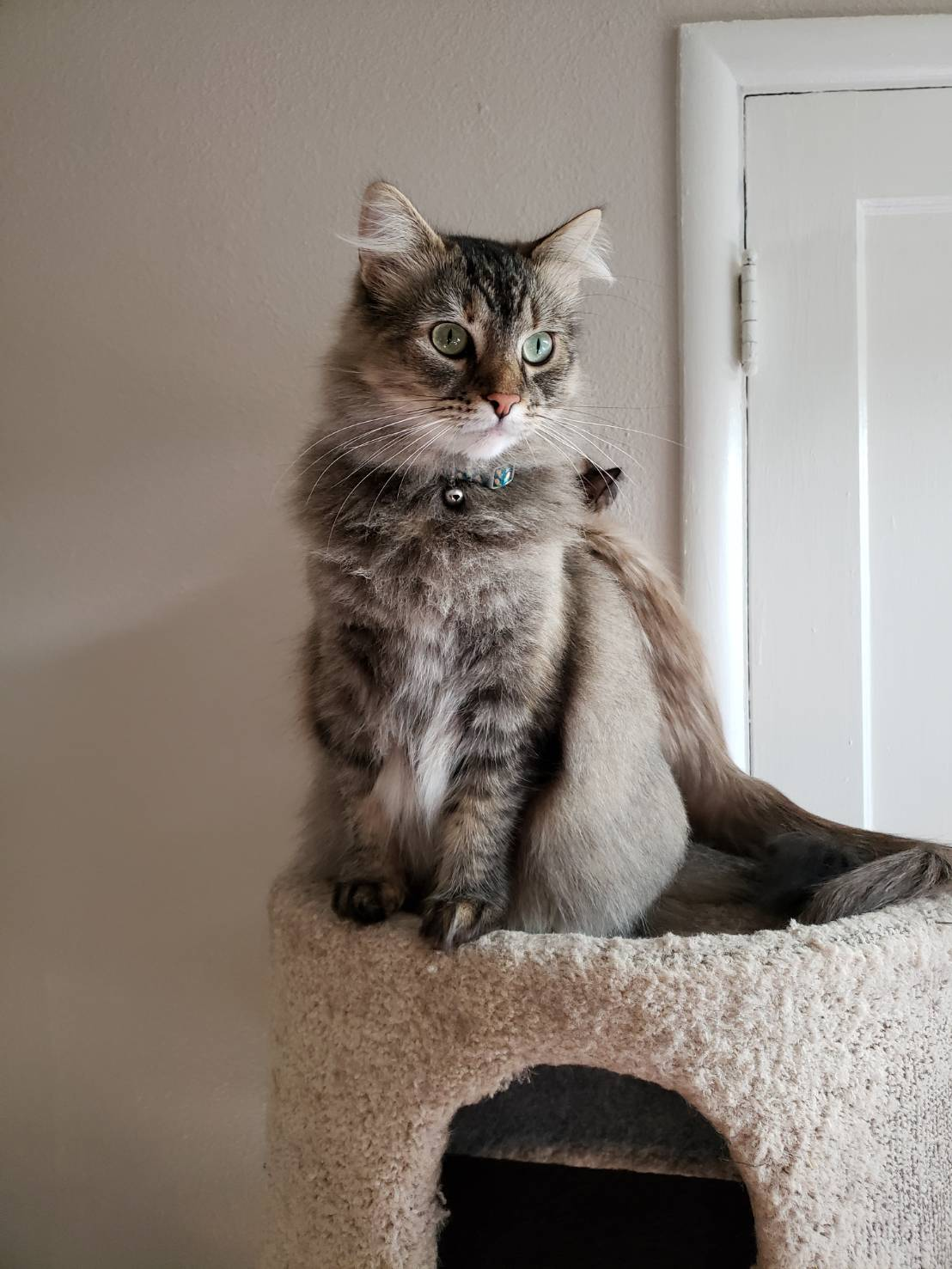 user avatar image for Jaimie 