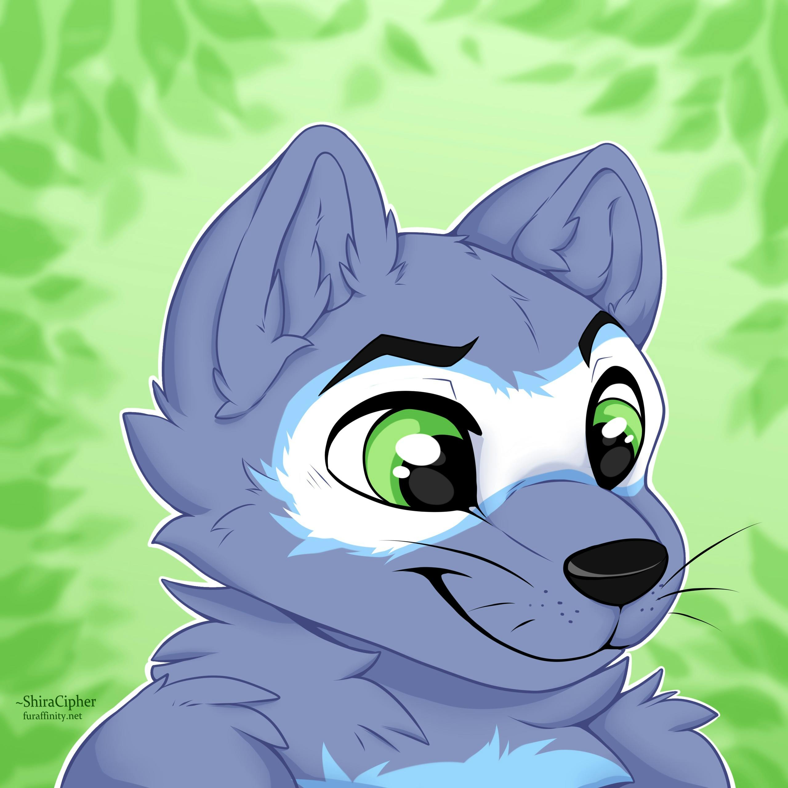 user avatar image for Bryan