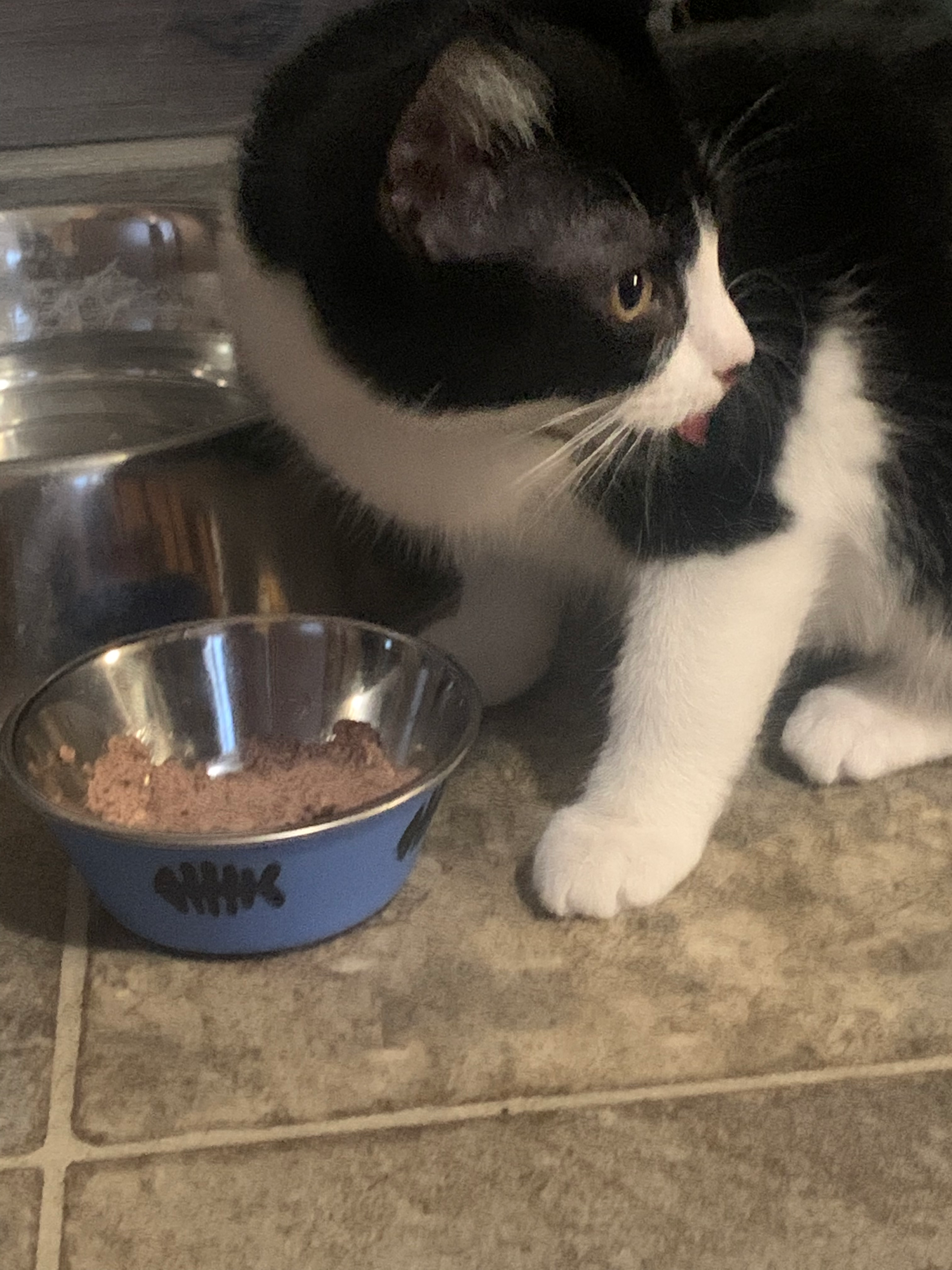 user avatar image for Beth