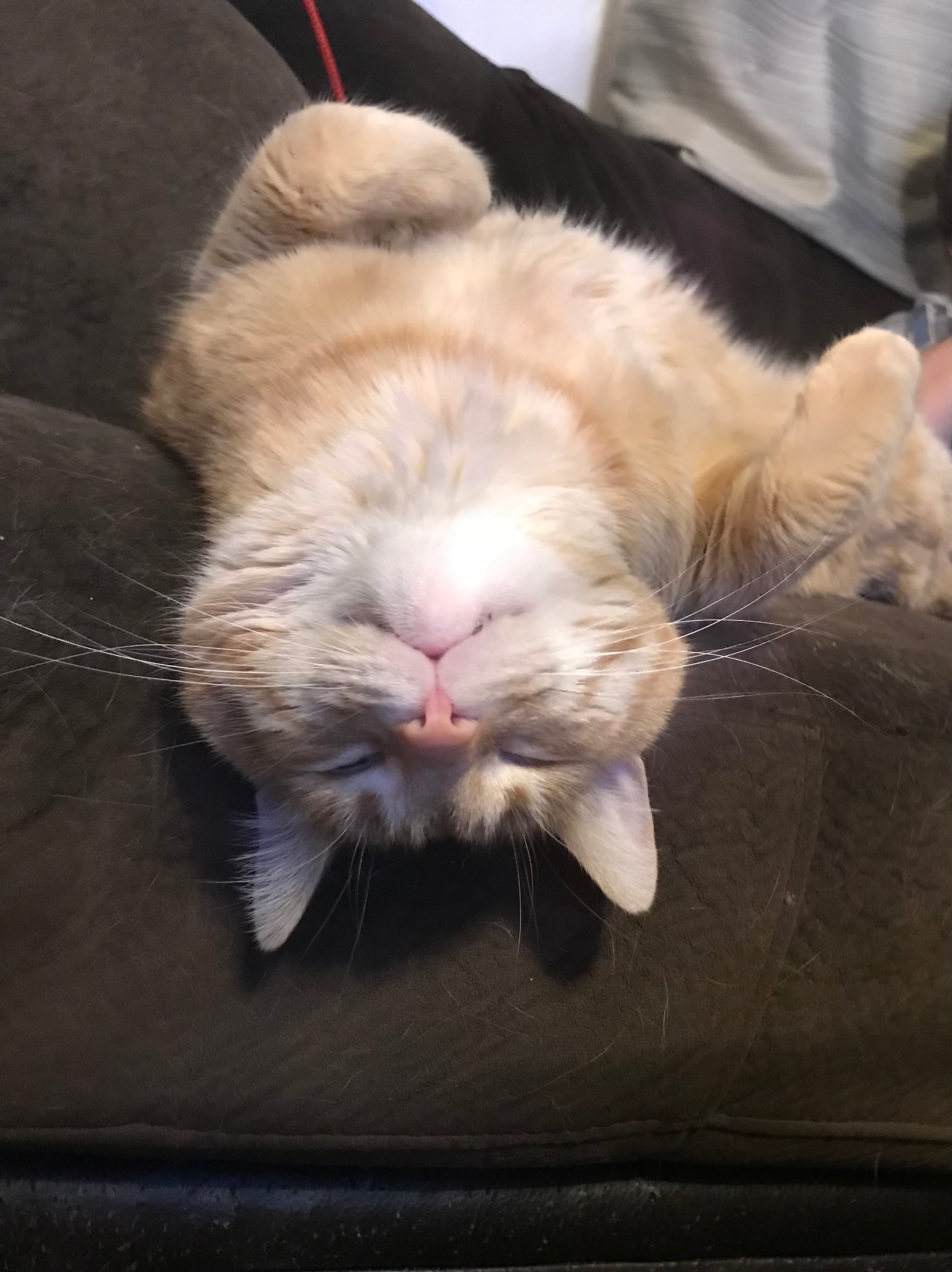 user avatar image for Julie