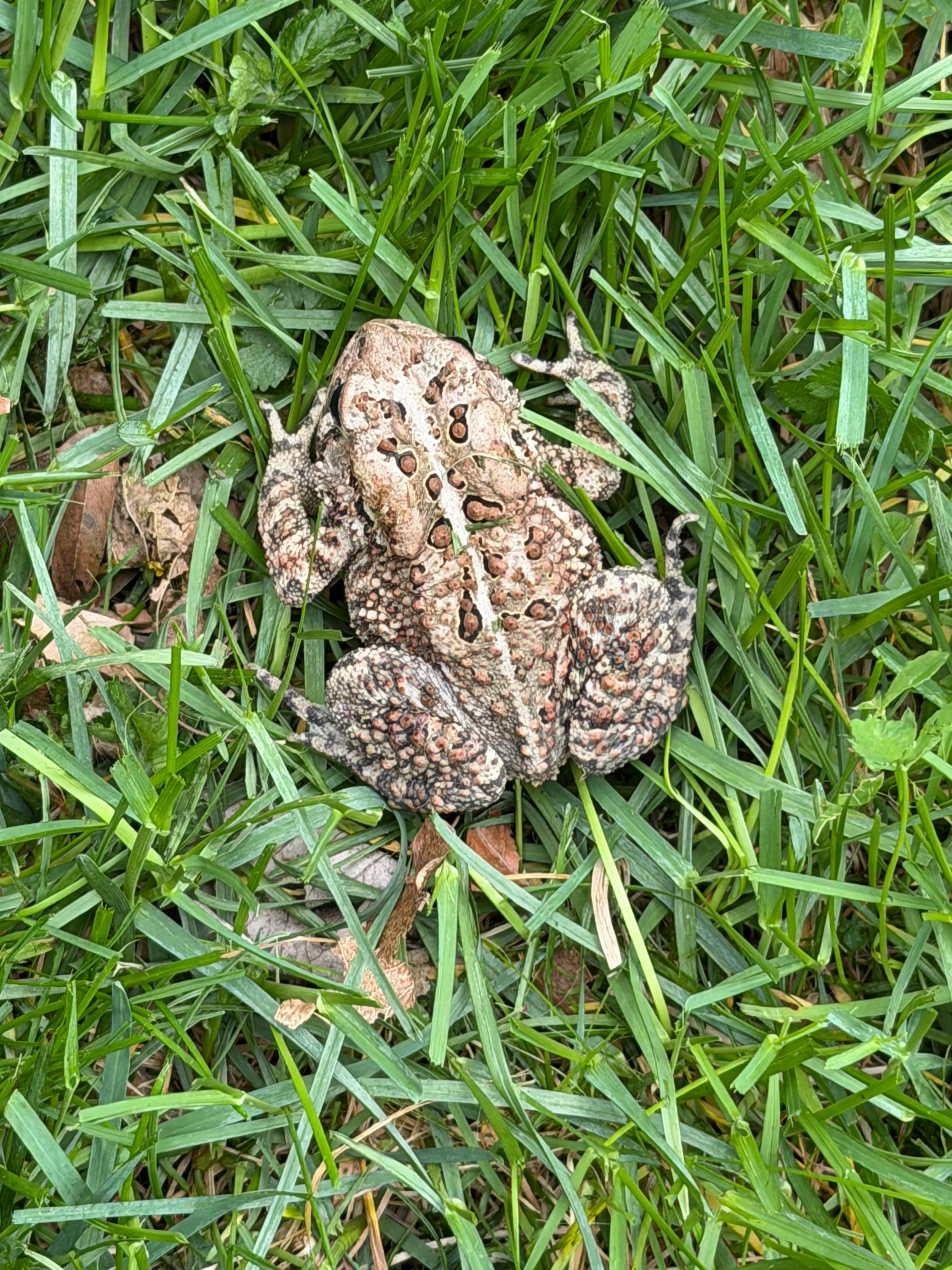 user avatar image for Alex Moody