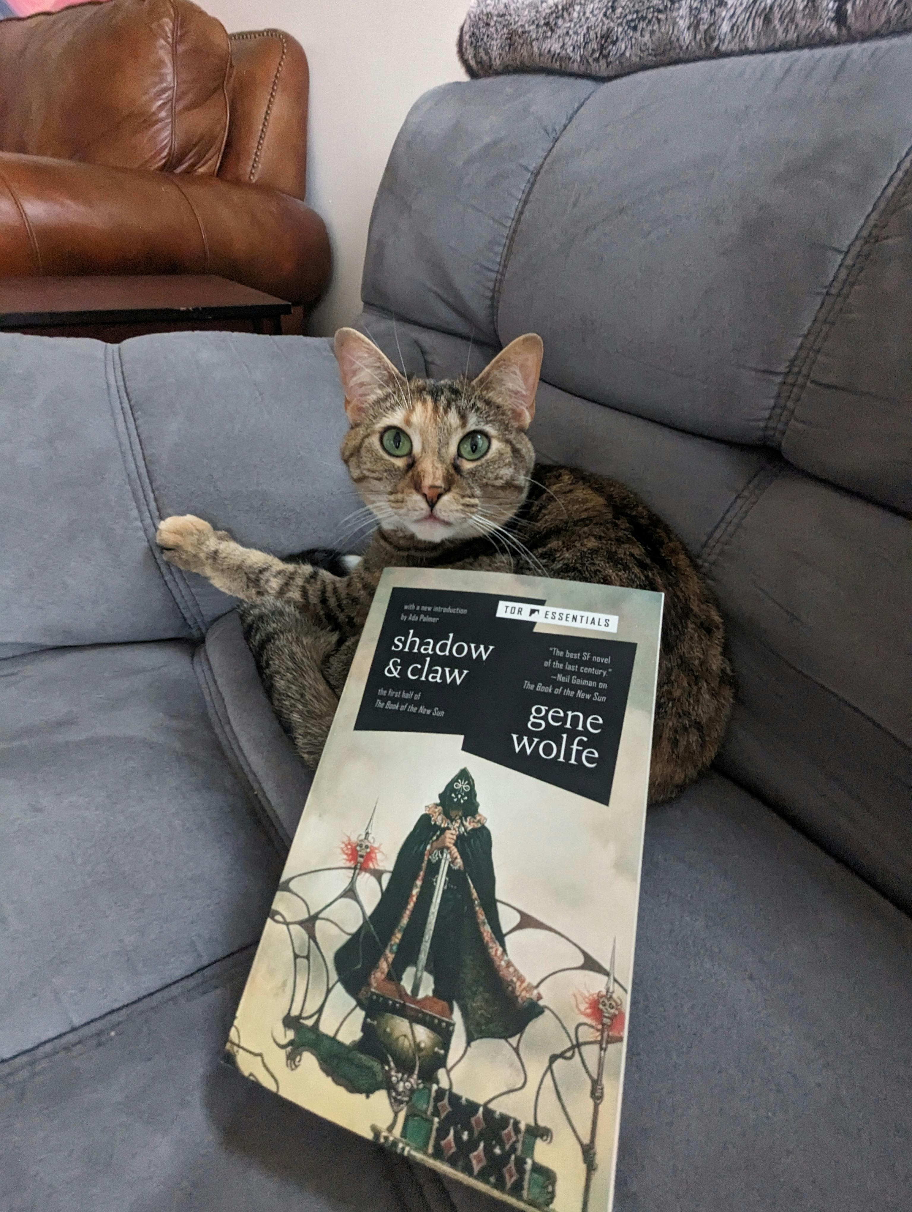 user avatar image for Samuel Logan Brassfield