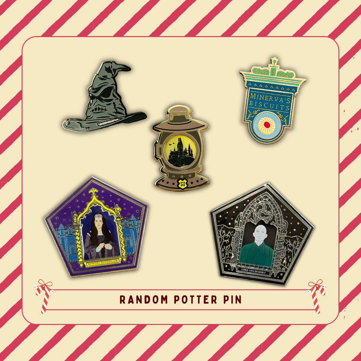 Random Potter Pin