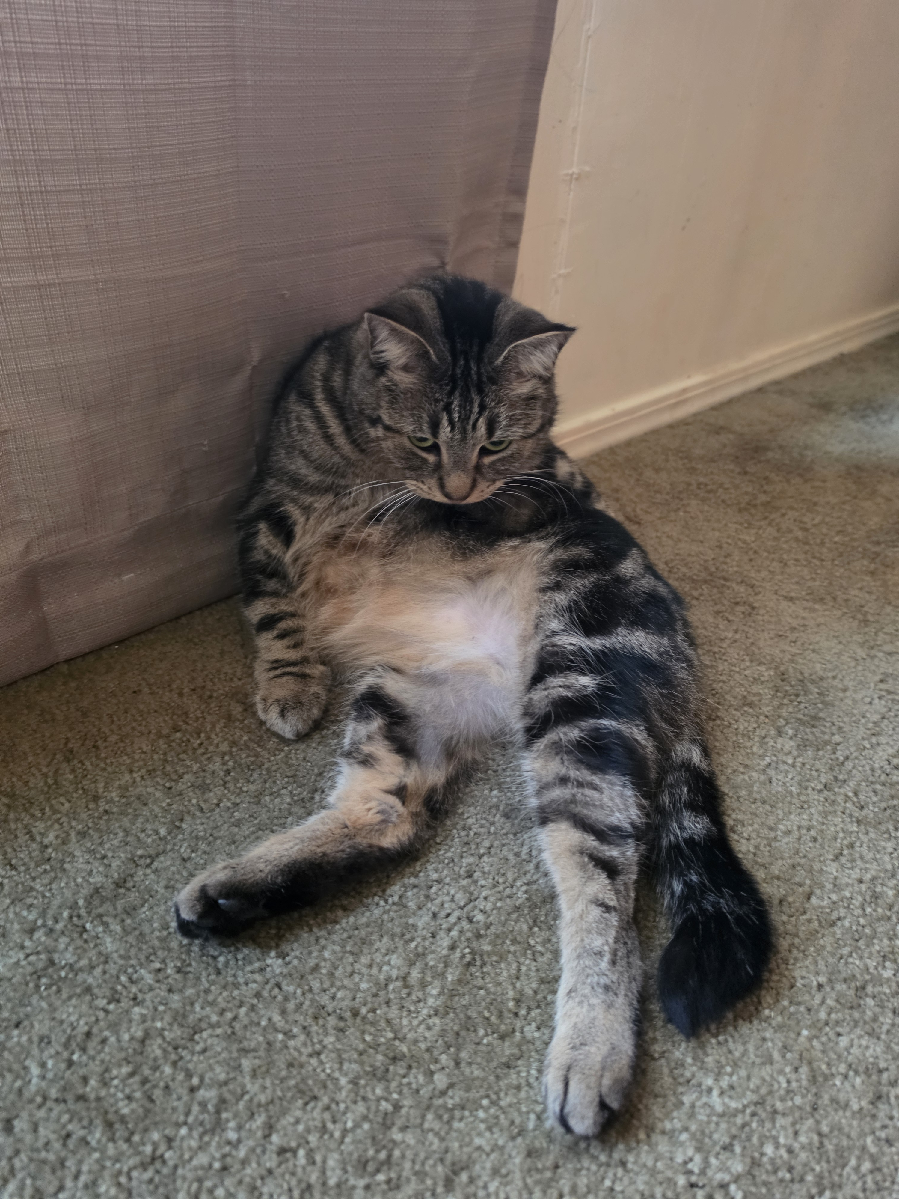 user avatar image for Thomas