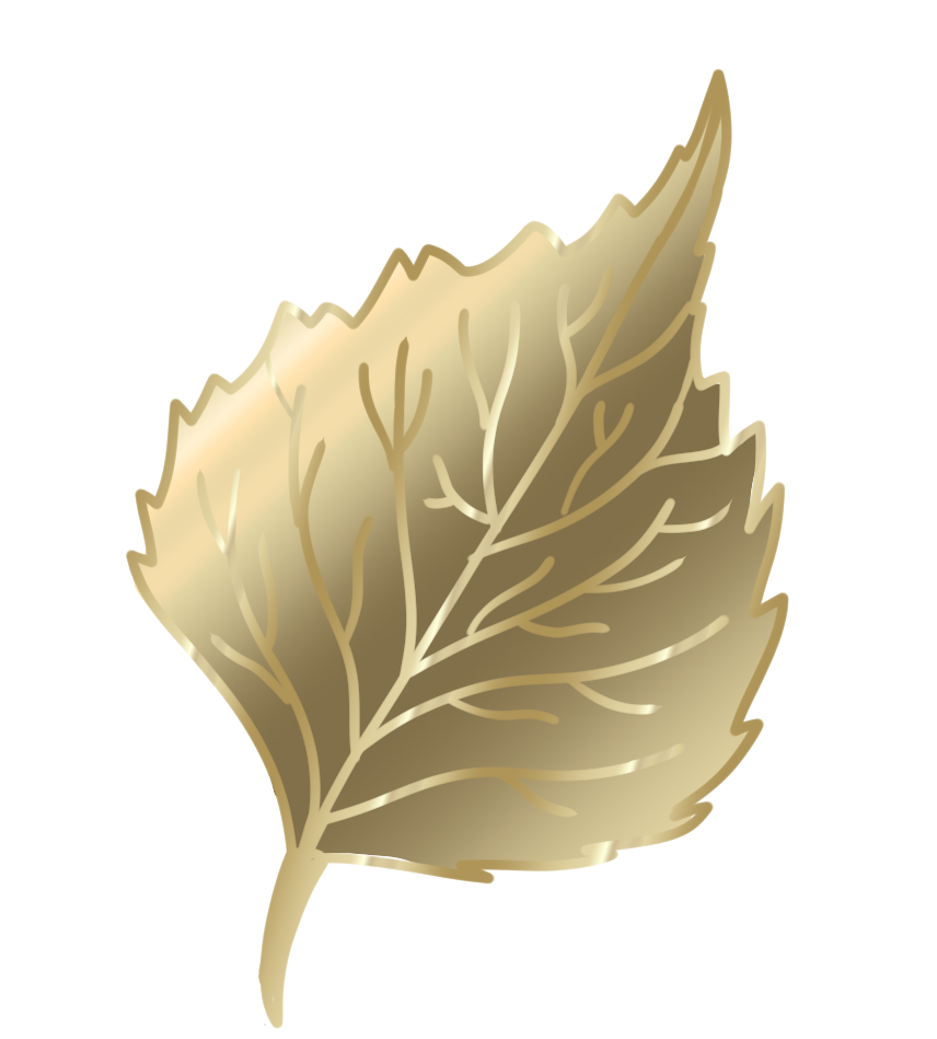Gold 'leaf' pin