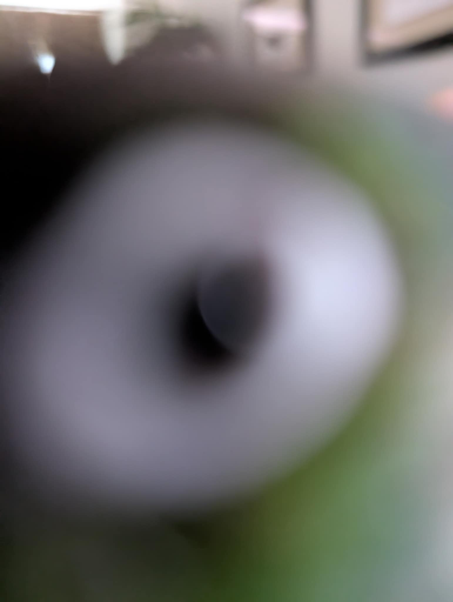 user avatar image for Zookiemonster