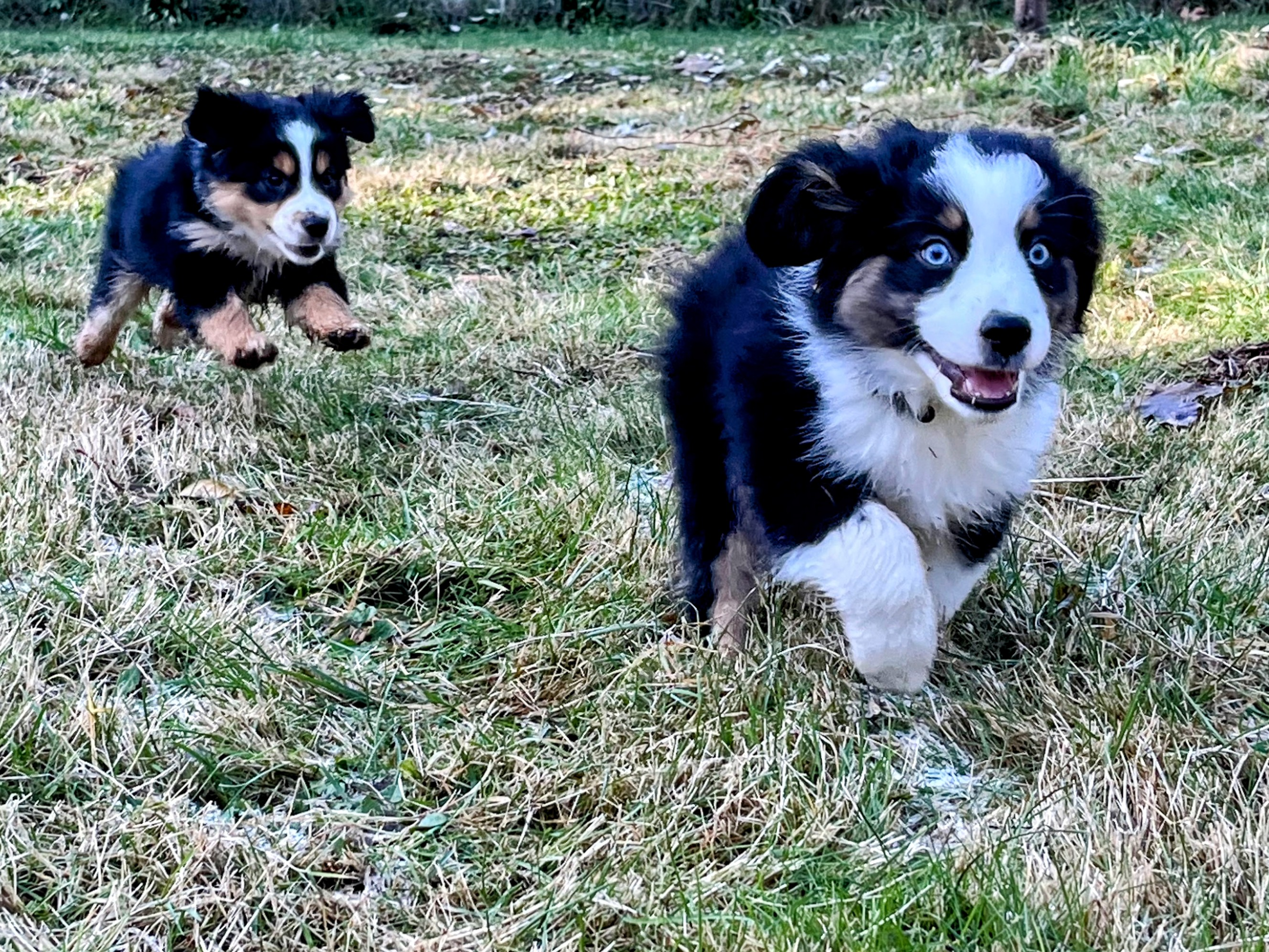 user avatar image for VorpalSaber