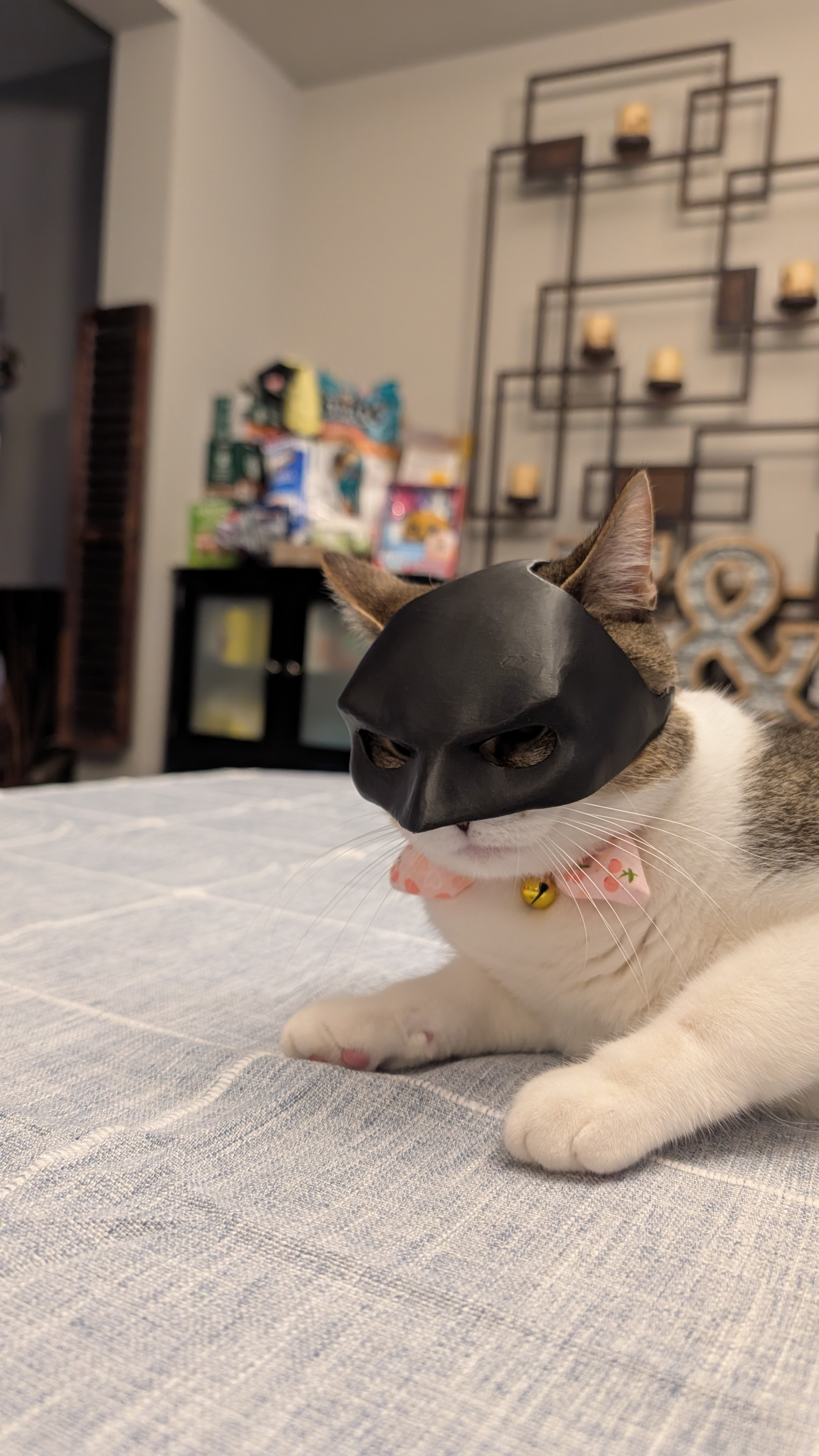 user avatar image for Zach Gyorffy