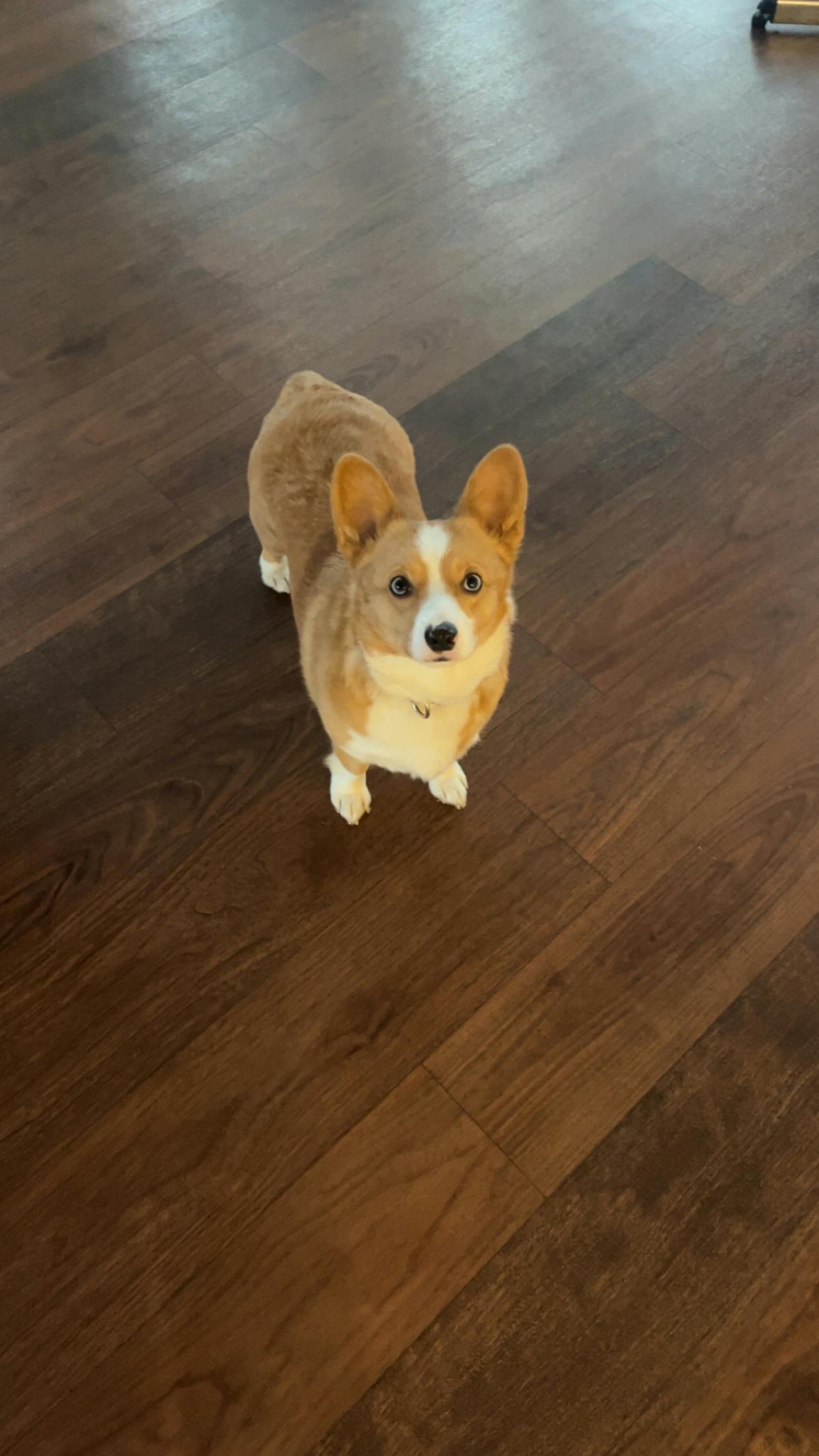 user avatar image for Nikki 