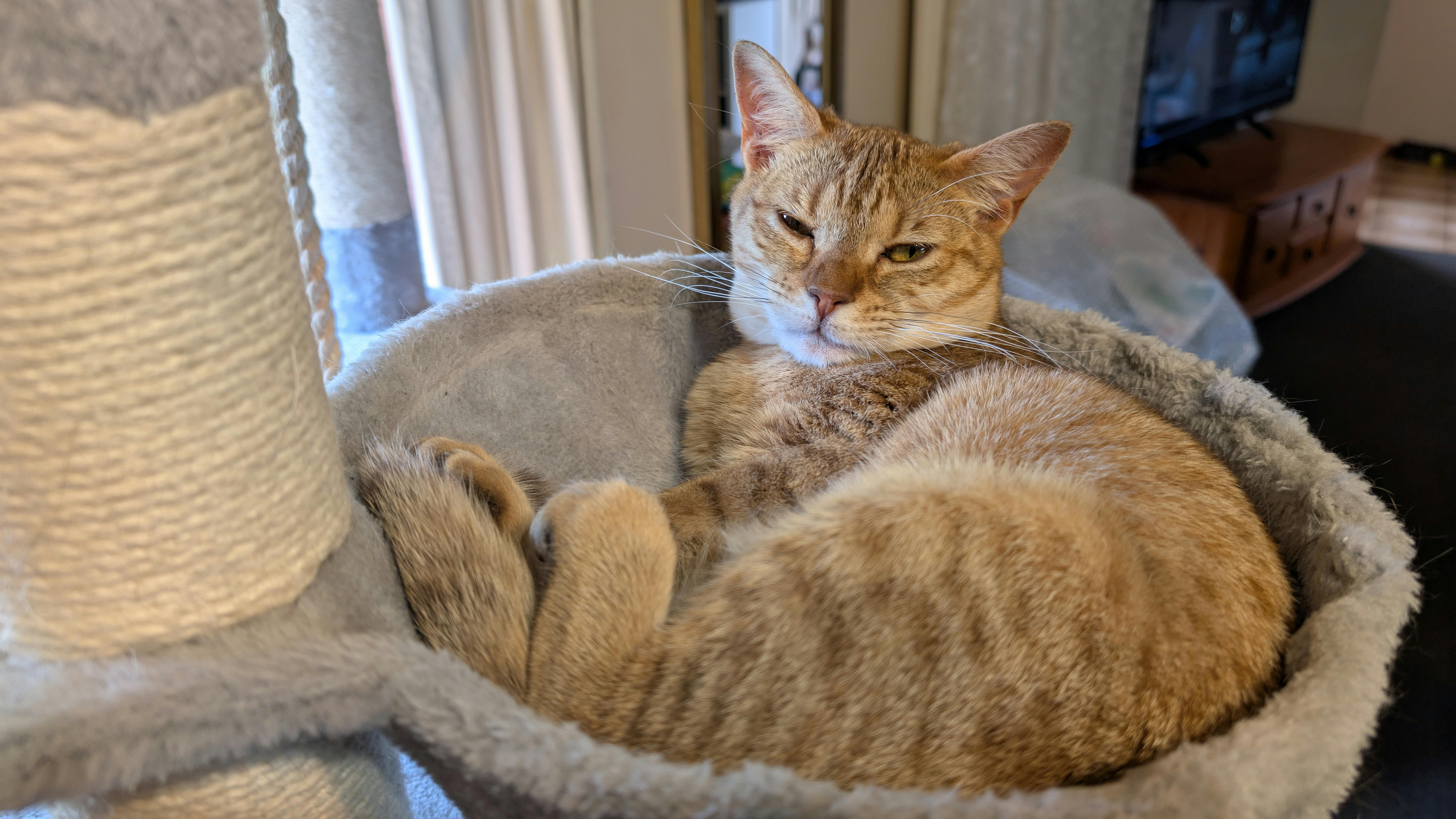 user avatar image for Ralph