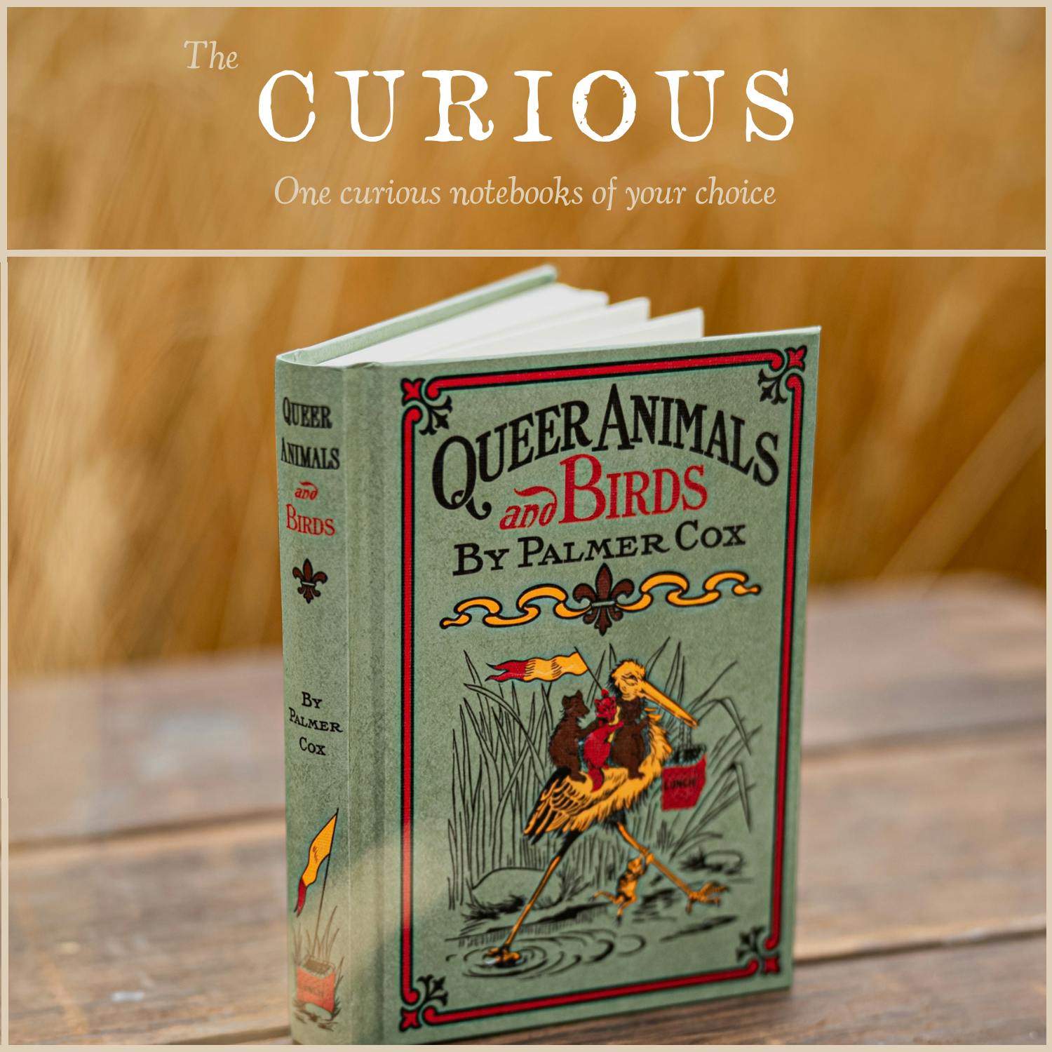 Pledge Levels | The Curious Volumes - BackerKit