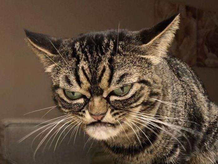 user avatar image for Crow