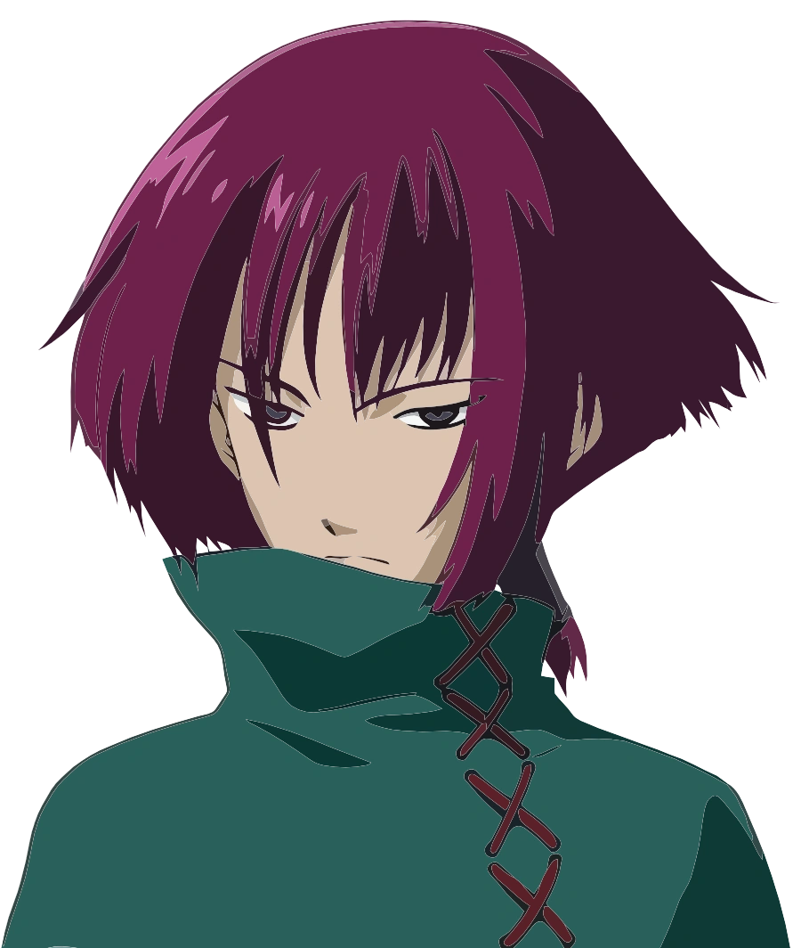 user avatar image for Hugo van der Velden