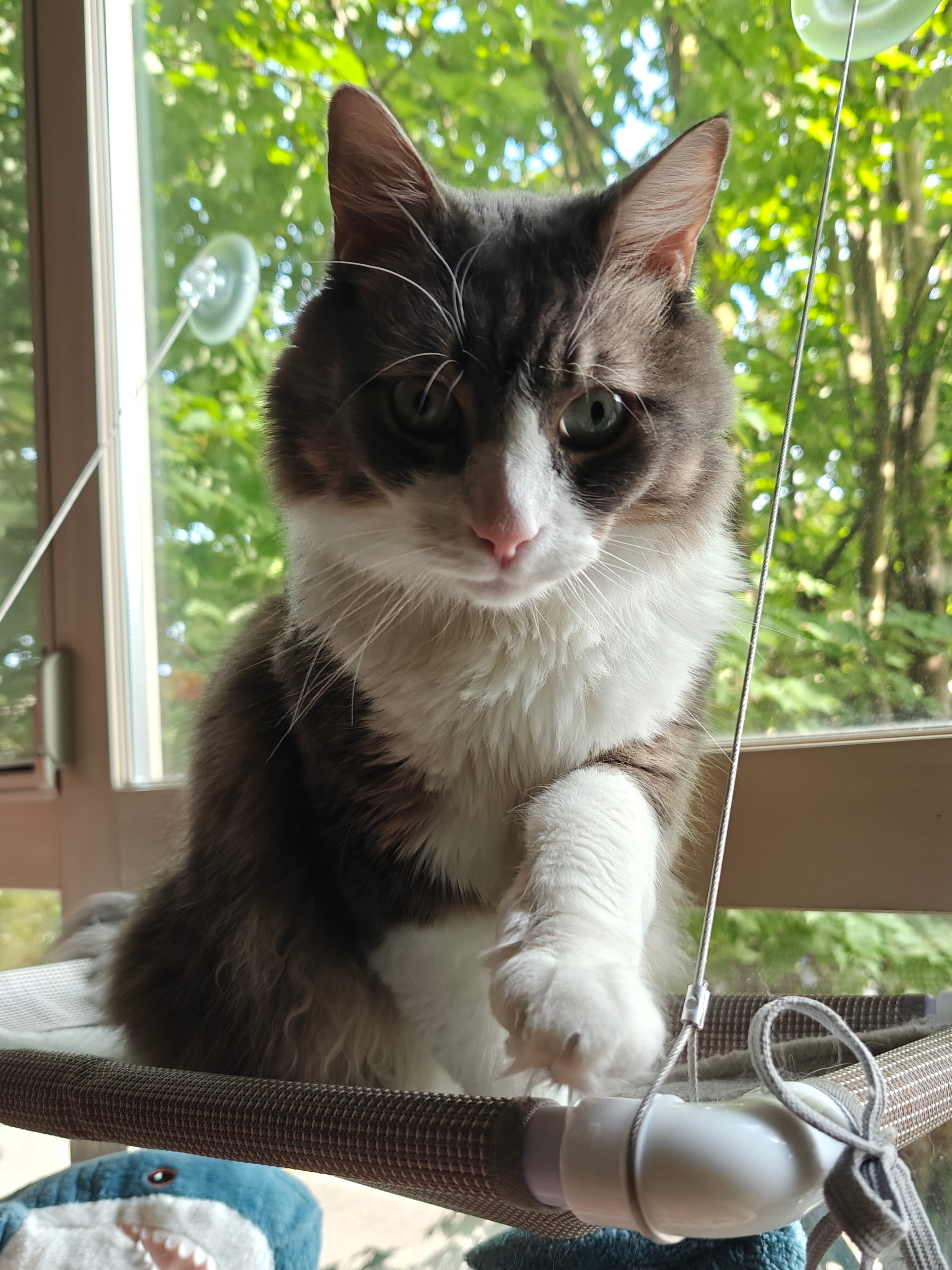 user avatar image for Aster M