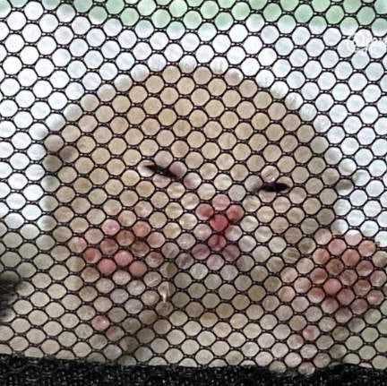 user avatar image for Meggy